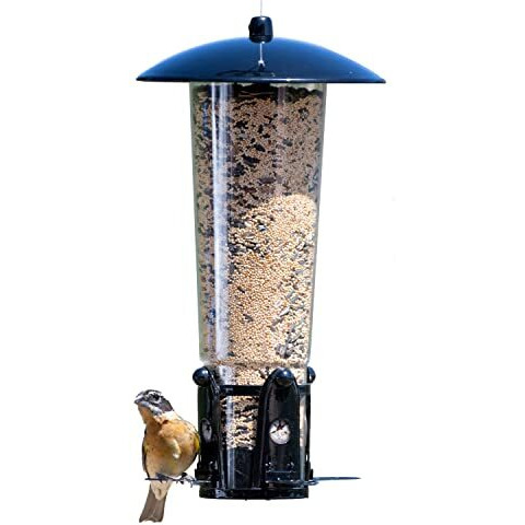 Perky-Pet 333-1Sr Squirrel-Be-Gone Max Large Wild Bird Feeder With Flexports, Squirrel Proof Bird Feeder With Weight-Activated Perches - 3Lb Seed Capacity