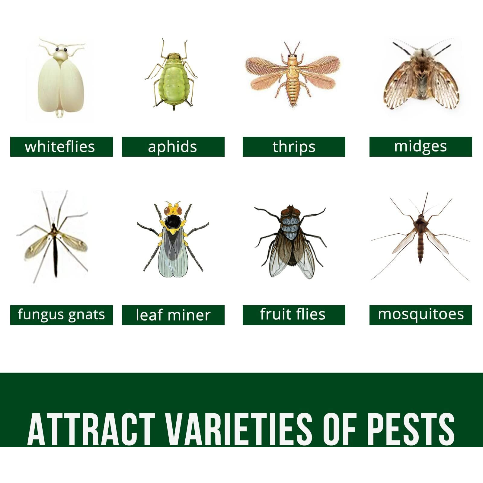 Garsum Fruit Fly Sticky Trap For Indoor And Outdoor, Fungus Gnat Killer For Houseplant,Mosquitos, Flying Insect, White Flies, 18 Pack