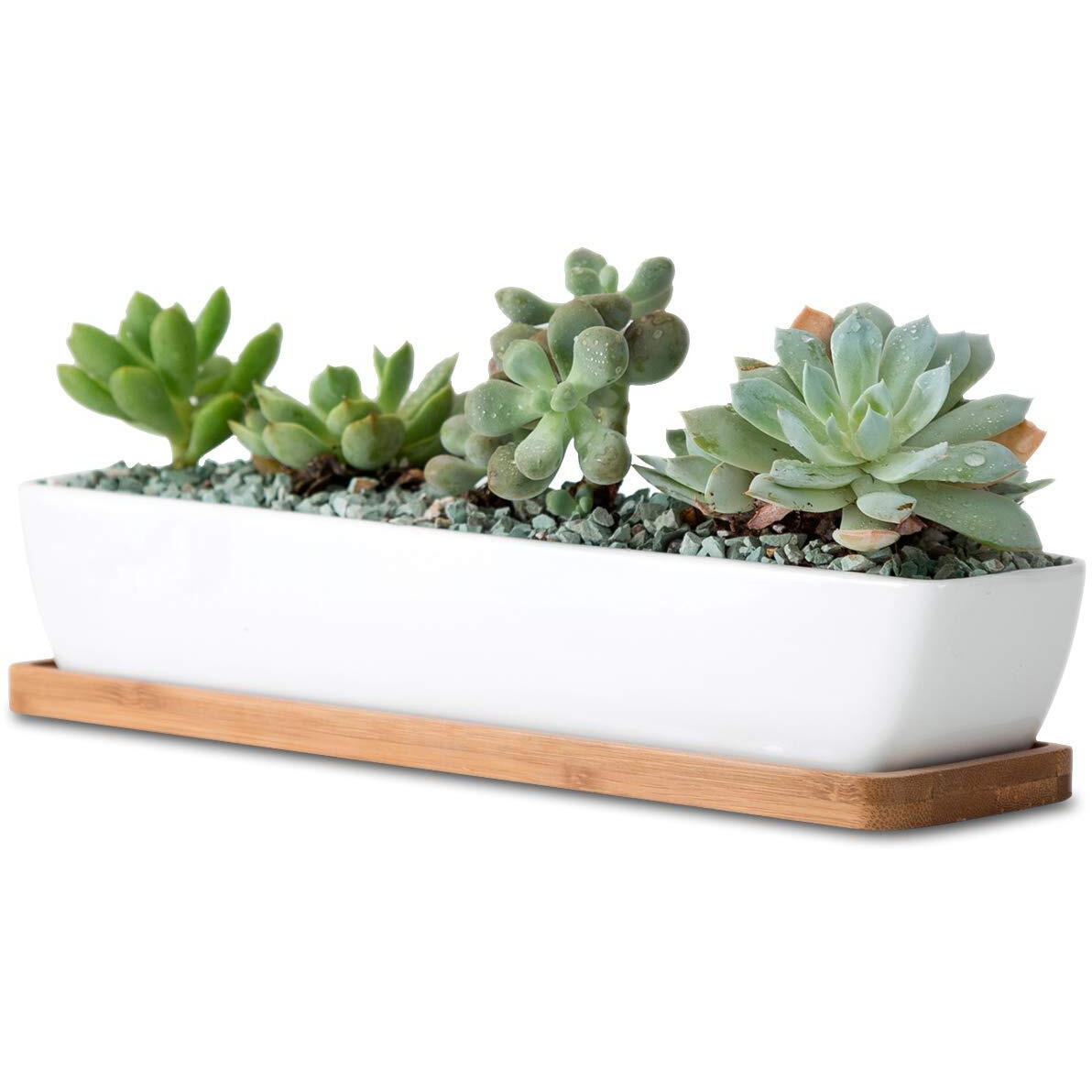 11Inch Long Rectangle White Ceramic Succulent Planter Pots/Mini Flower Plant Containers With Bamboo Saucers. Product Size11X2.36X1.77Inch,Not Include The Plant. (Long Rectangle)