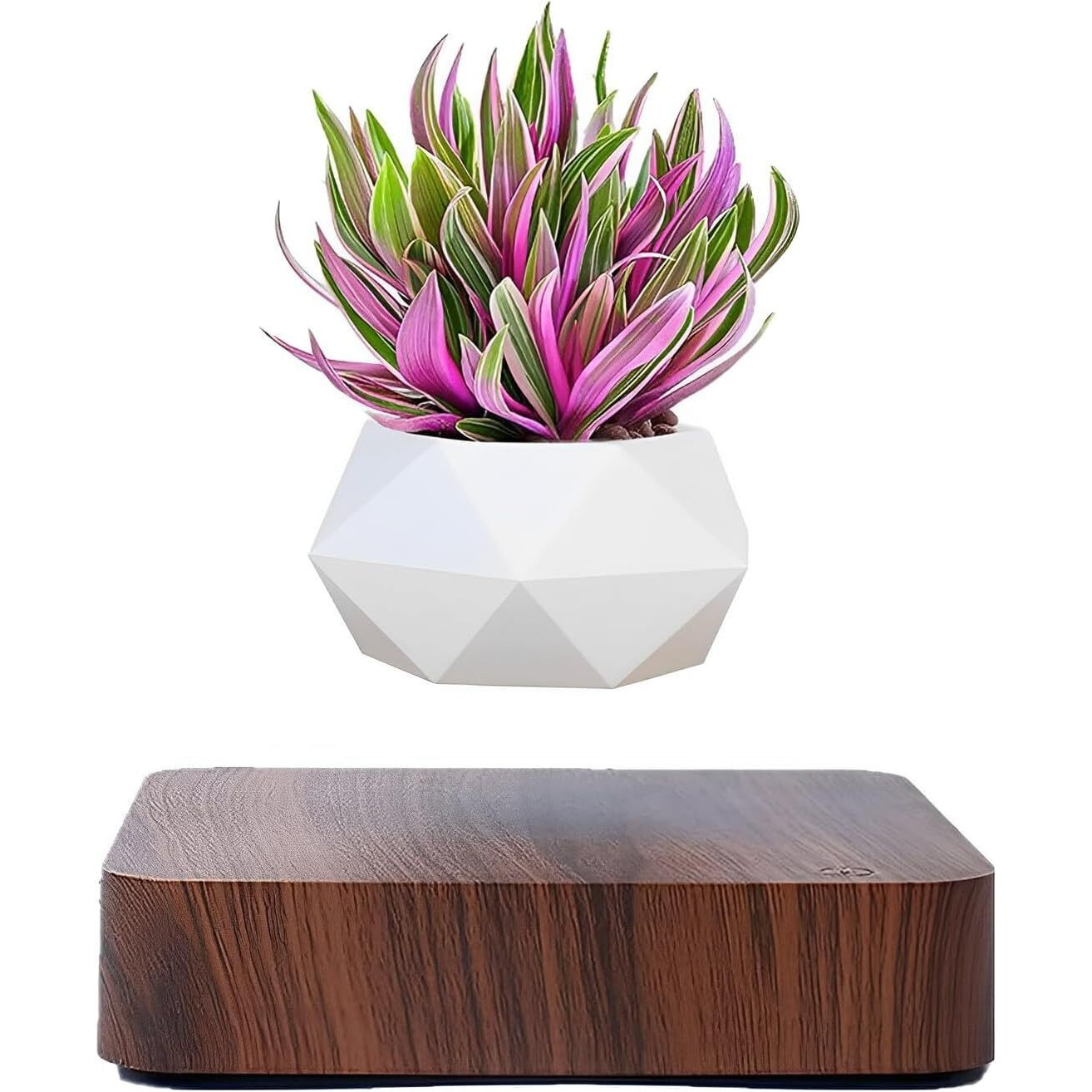 Levitating Air Bonsai Pot, Rotation Flower Pot Planters, Magnetic Levitation Suspension Floating Pot, Potted Plant Home Desk Decor In Flower Pots & Planters From Home & Garden On (Dark Color)