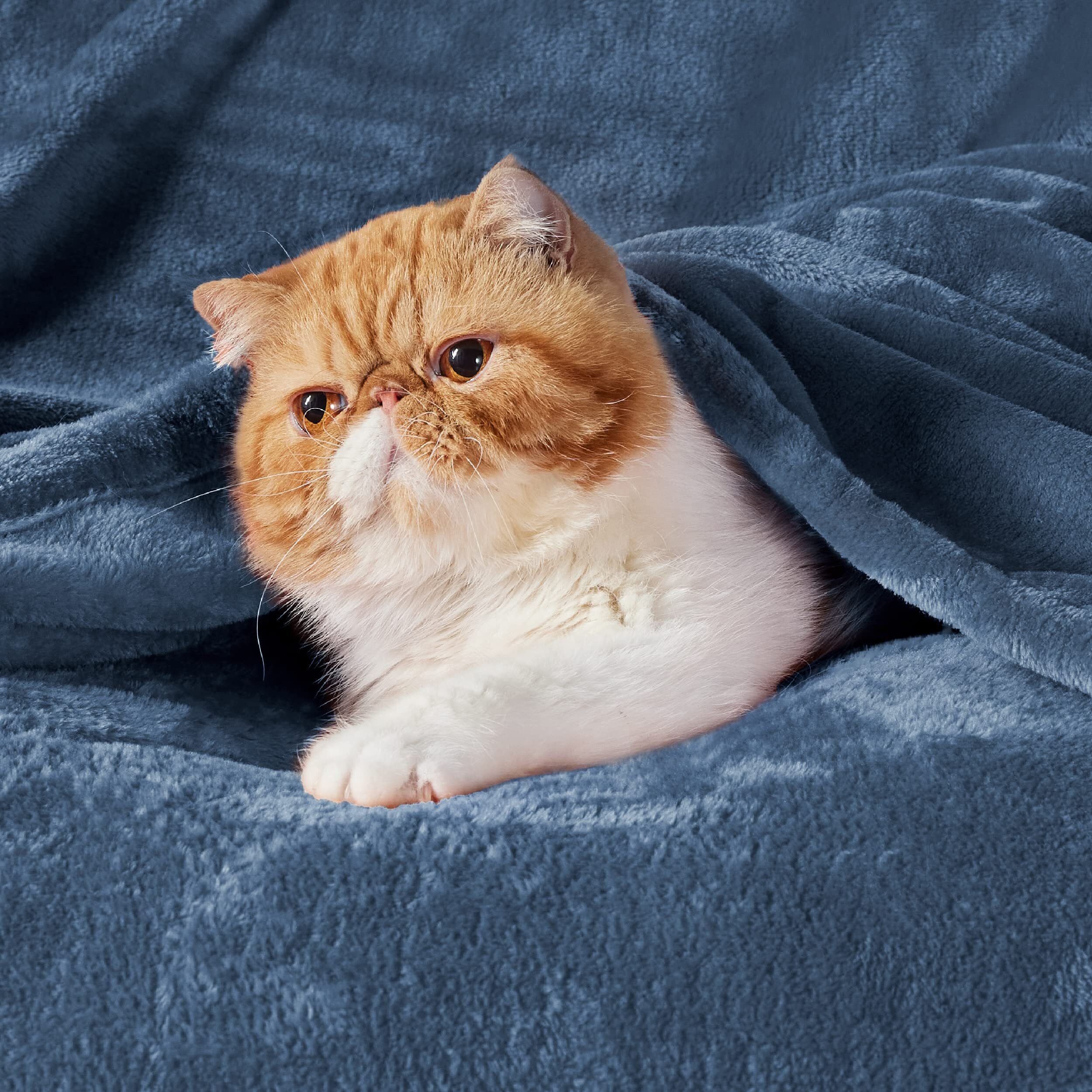 Bedsure Fleece Blankets King Size Mineral Blue - Bed Blanket Soft Lightweight Plush Cozy Fuzzy Luxury Microfiber, 108X90 Inches
