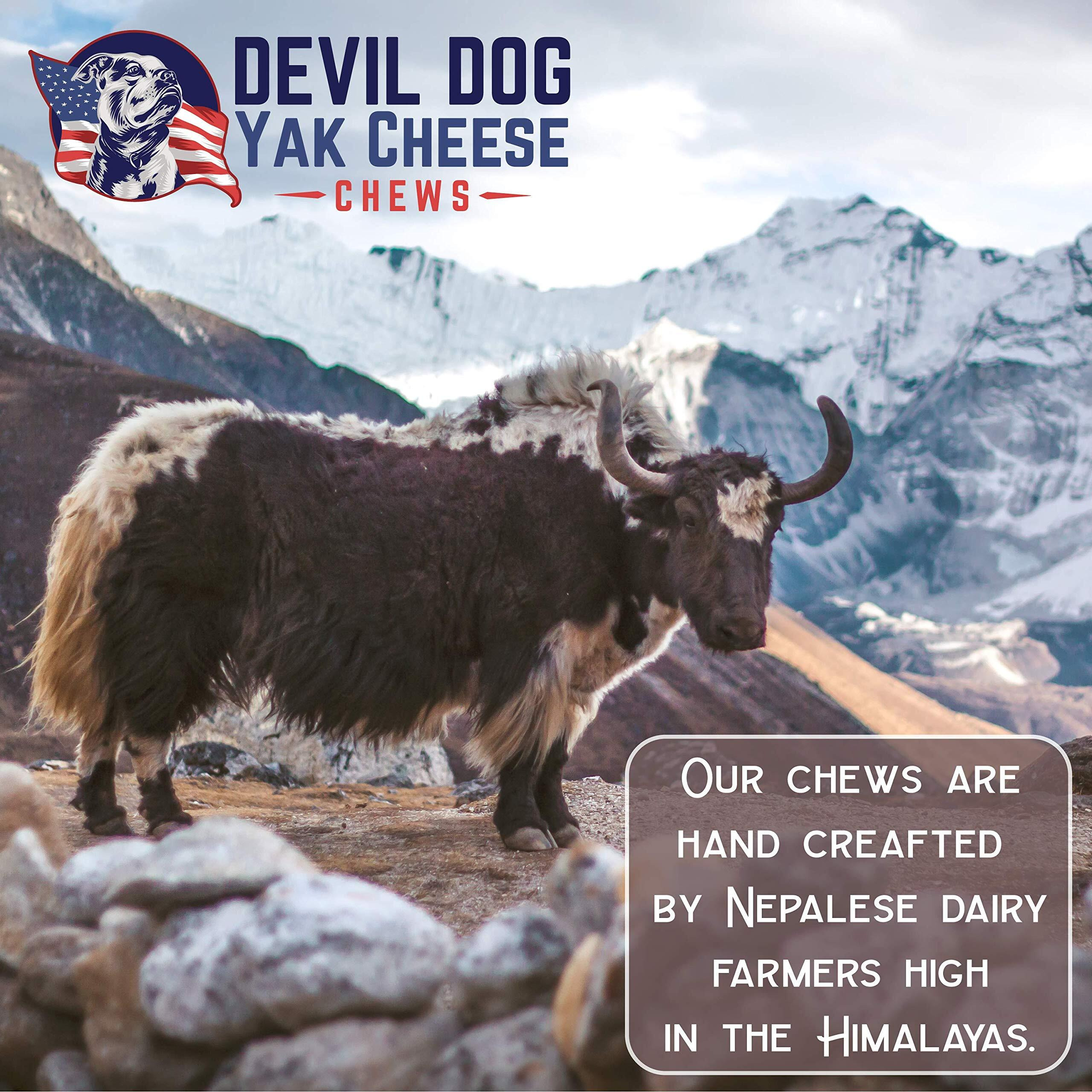 Devil Dog Pet Co Yak Cheese Himalayan Dog Chew - Premium Yak Chew - Heavy Duty All Natural Dog Treat For Teething Puppy And Aggressive Chewers - Usa Veteran Owned Business (Large - 1 Pack)