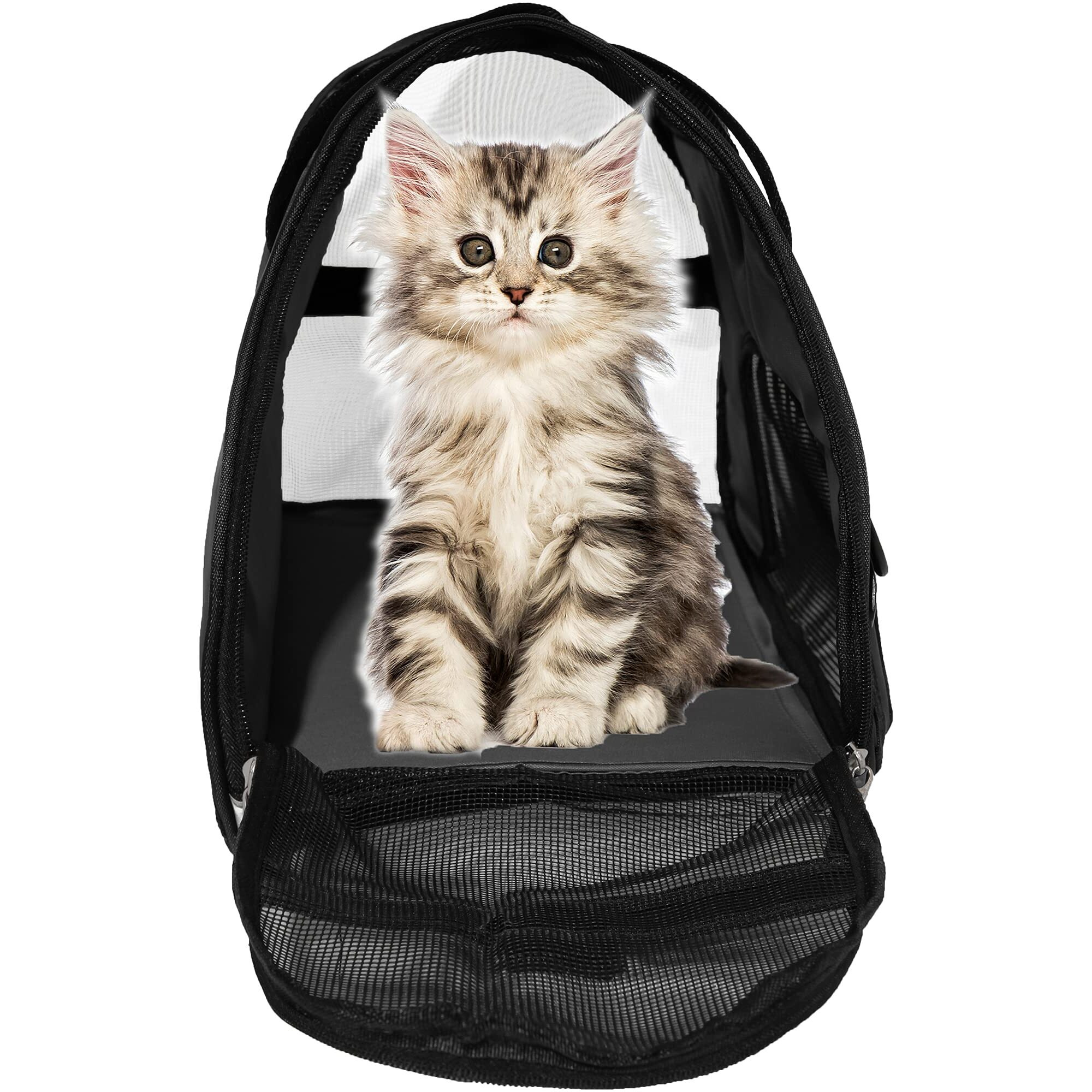 Muchl Cat Carrier Soft-Sided Pet Carrier For Small Medium Cats, Puppies, Dog Carrier Pet Travel Bag For Small Dogs Comfort Portable Foldable Pet Bag Airline Approved (Medium Black)