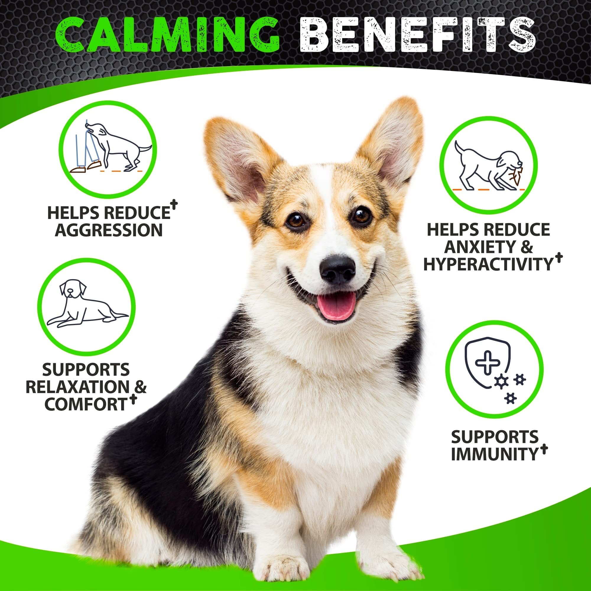 Hemp Calming Chews For Dogs With Anxiety And Stress - 170 Dog Calming Treats - Storms, Barking, Separation - Valerian Root - Melatonin - Hemp Oil - Dog Anxiety Relief - Made In Usa | Soft Chews