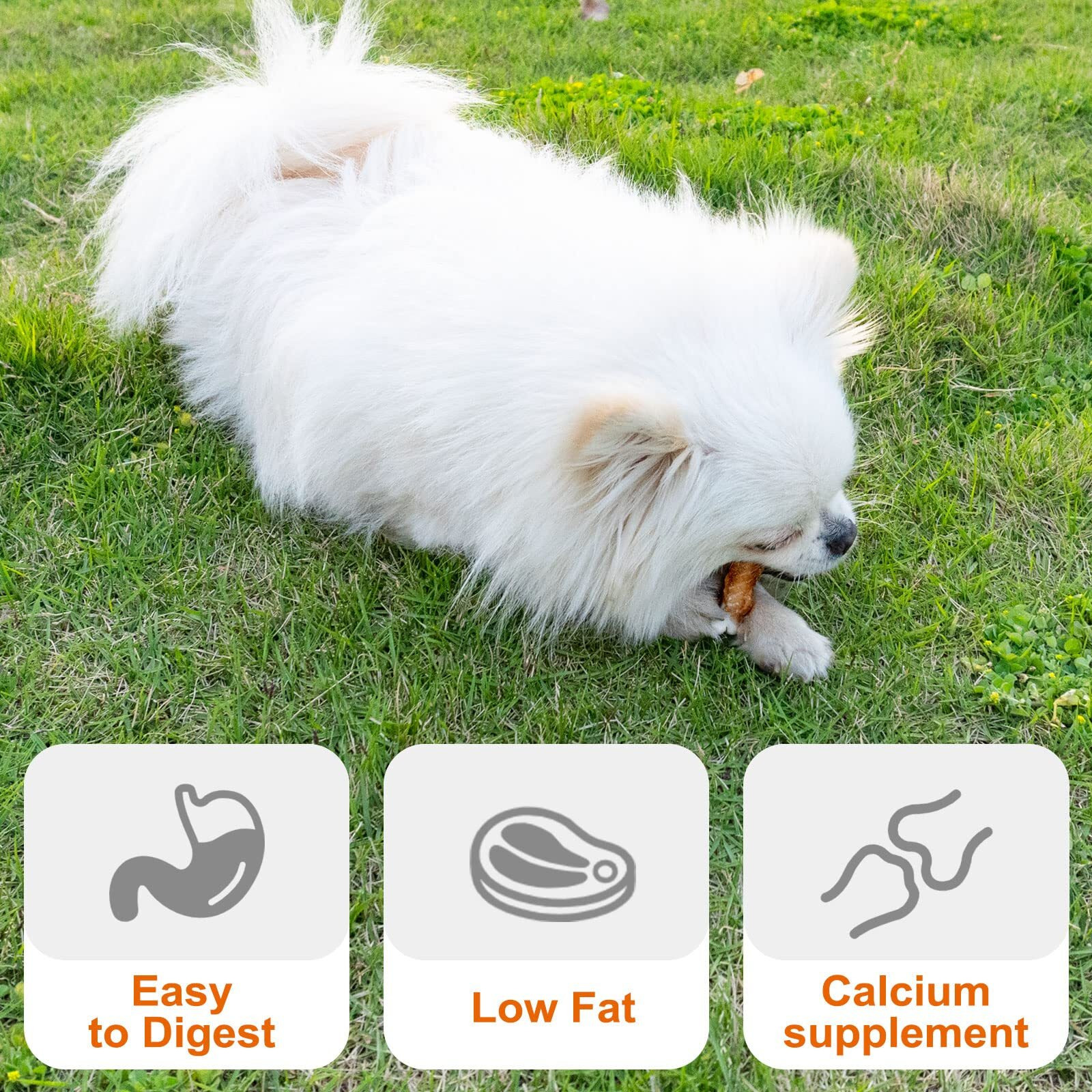 Mon2Sun Dog Treats, Chicken Wrapped Calcium Bones Without Rawhide, 2.3 Inch Training Treats For Teeth Cleaning And Fresh Breath, Chews For Puppy And Small Dogs (56 Count - Pack Of 1)