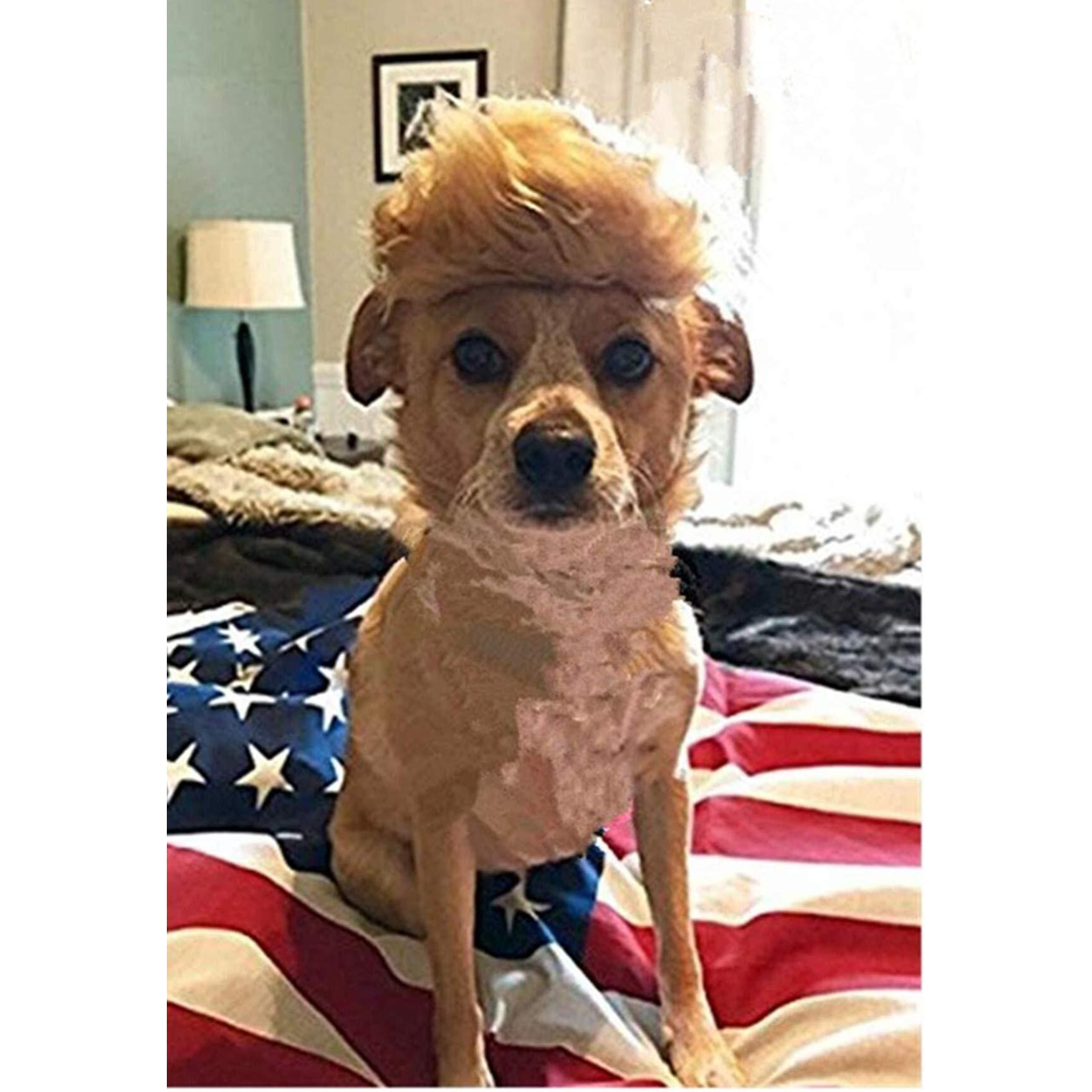 Donald Trump Style Pet Costume Dog Wig, Dog Clothes With Collar & Tie Head Wear Apparel Toy For Halloween, Christmas, Parties, Festivals (Brown Without Tie)