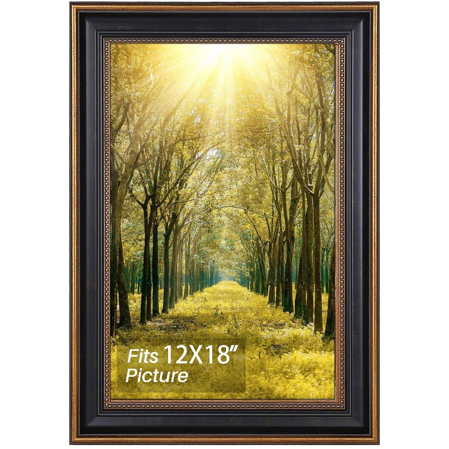 Space Art Deco, 12X18 Frame Without Mat Poster/Art/Picture Frame Shatter-Resistant Glass Sawtooth Hangers Wall Mount Display(12X18, Black/Ornate Gold Design)