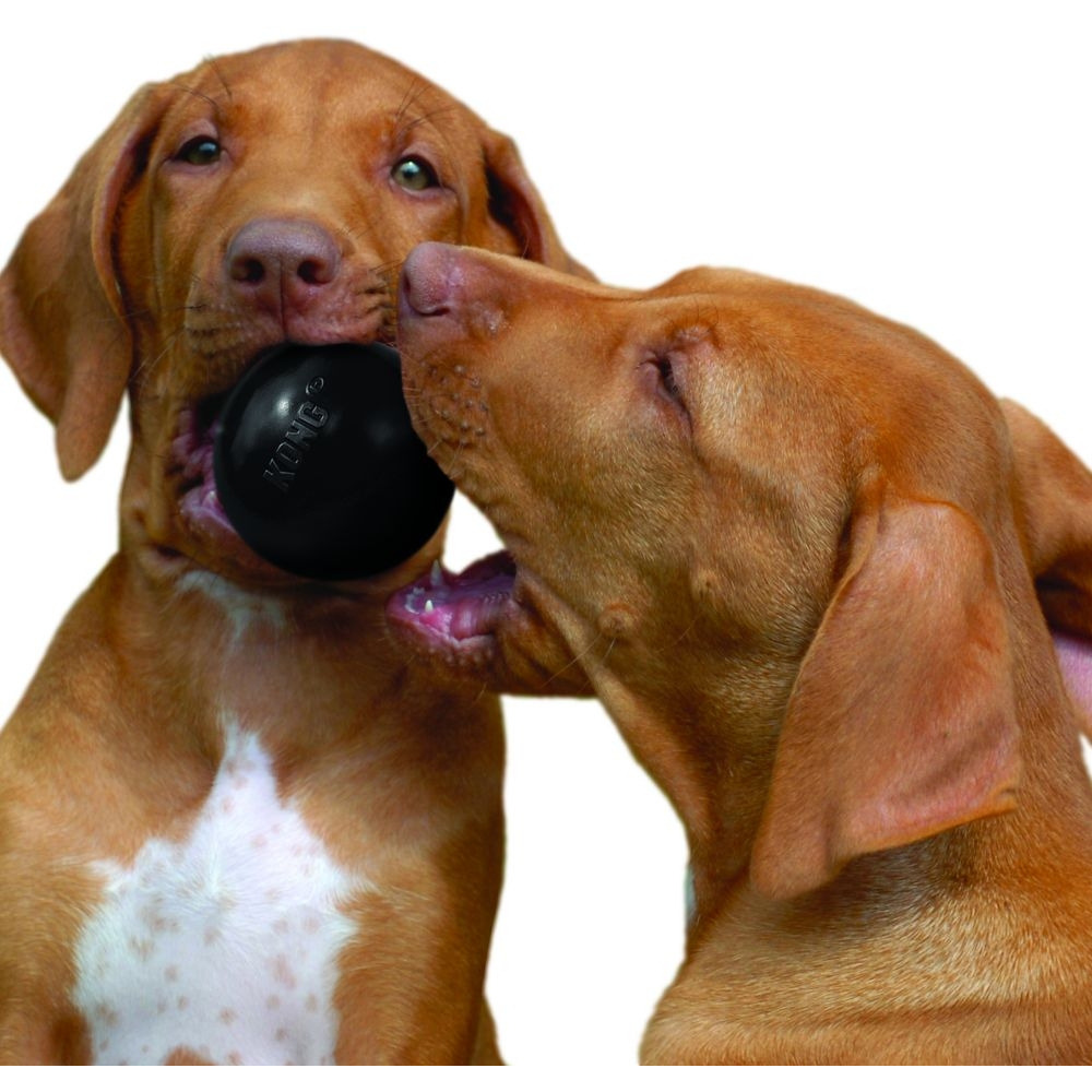 Kong Extreme Ball Dog Toy Medium/Large