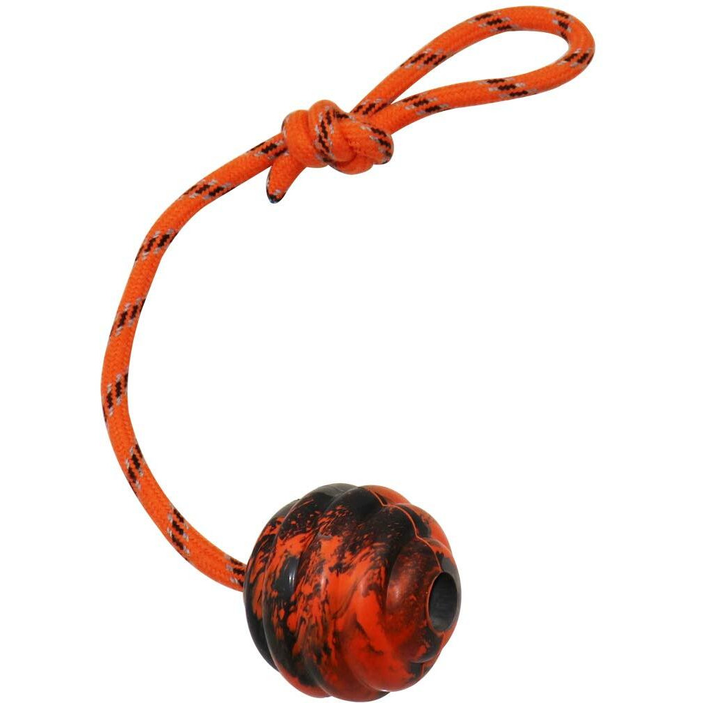 Vitalili Dog Training Ball On Rope Dog Rope Toys Ball Exercise And Reward Toy For Dogs For Chew Training Pull Throw Toy Tug Toy Dogs Fetch Toys Belgian Malinois Gifts