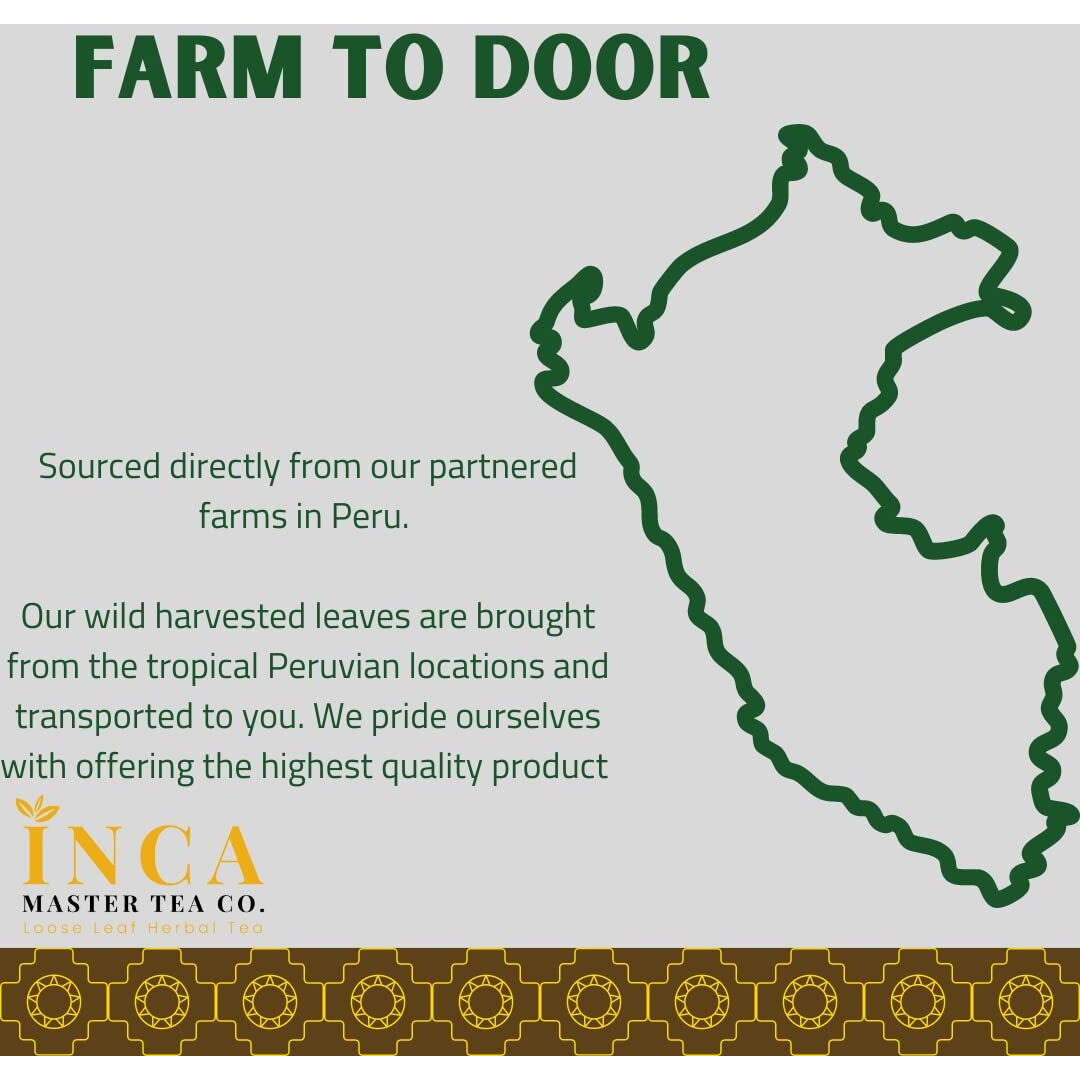 Inca Master Stone Breaker Chanca Piedra Tea - Kidney Stone Dissolver & Gallbladder Cleanse 100% Natural Organic Kidney Stone Breaker 100 Grams 3.5 Ounces