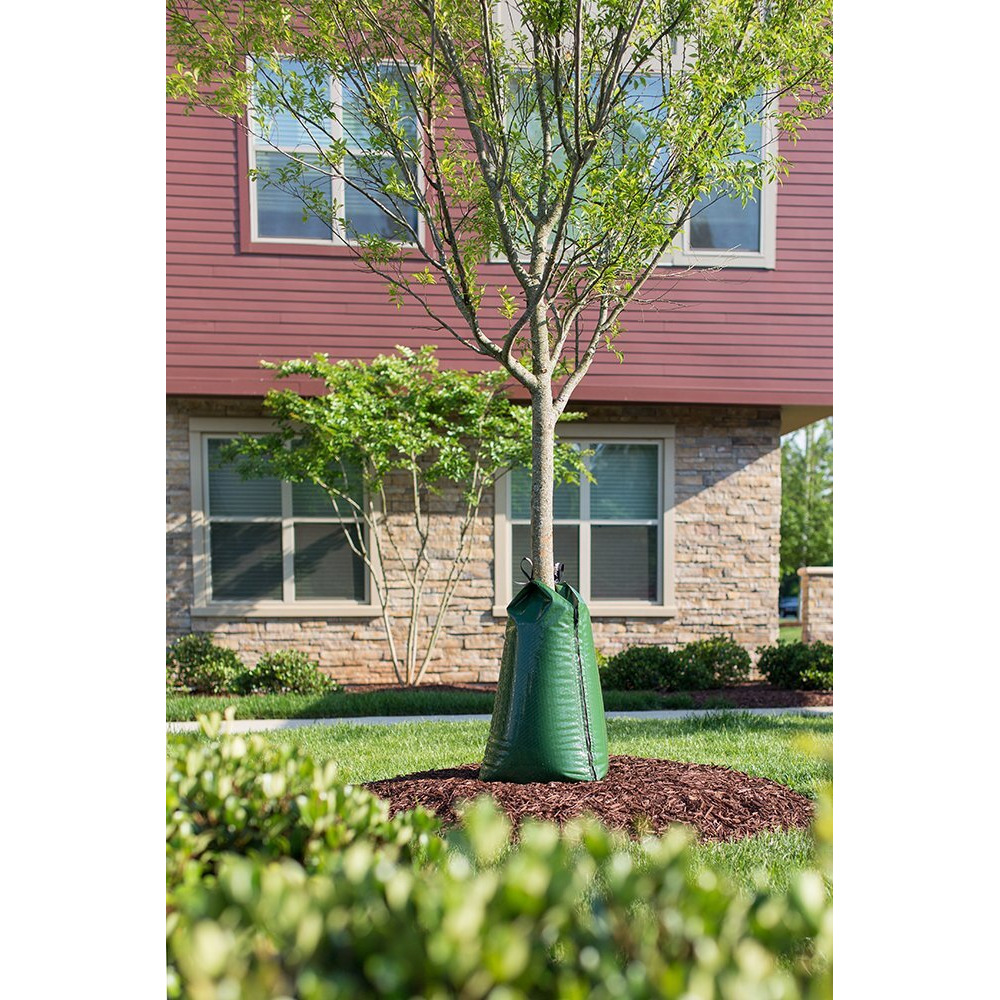 Treegator Original Slow Release Watering Bag For Trees, 1 Bag