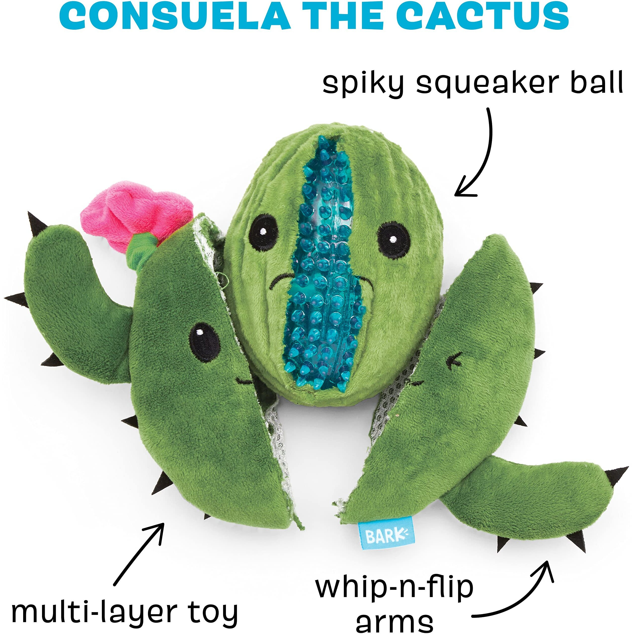 Barkbox 2 In 1 Interactive Plush Dog Toy - Rip And Reveal Dog Toy For Large Dogs - Stimulating Squeaky Pet Enrichment And Puppy Toys | Consuela The Cactus (Large)