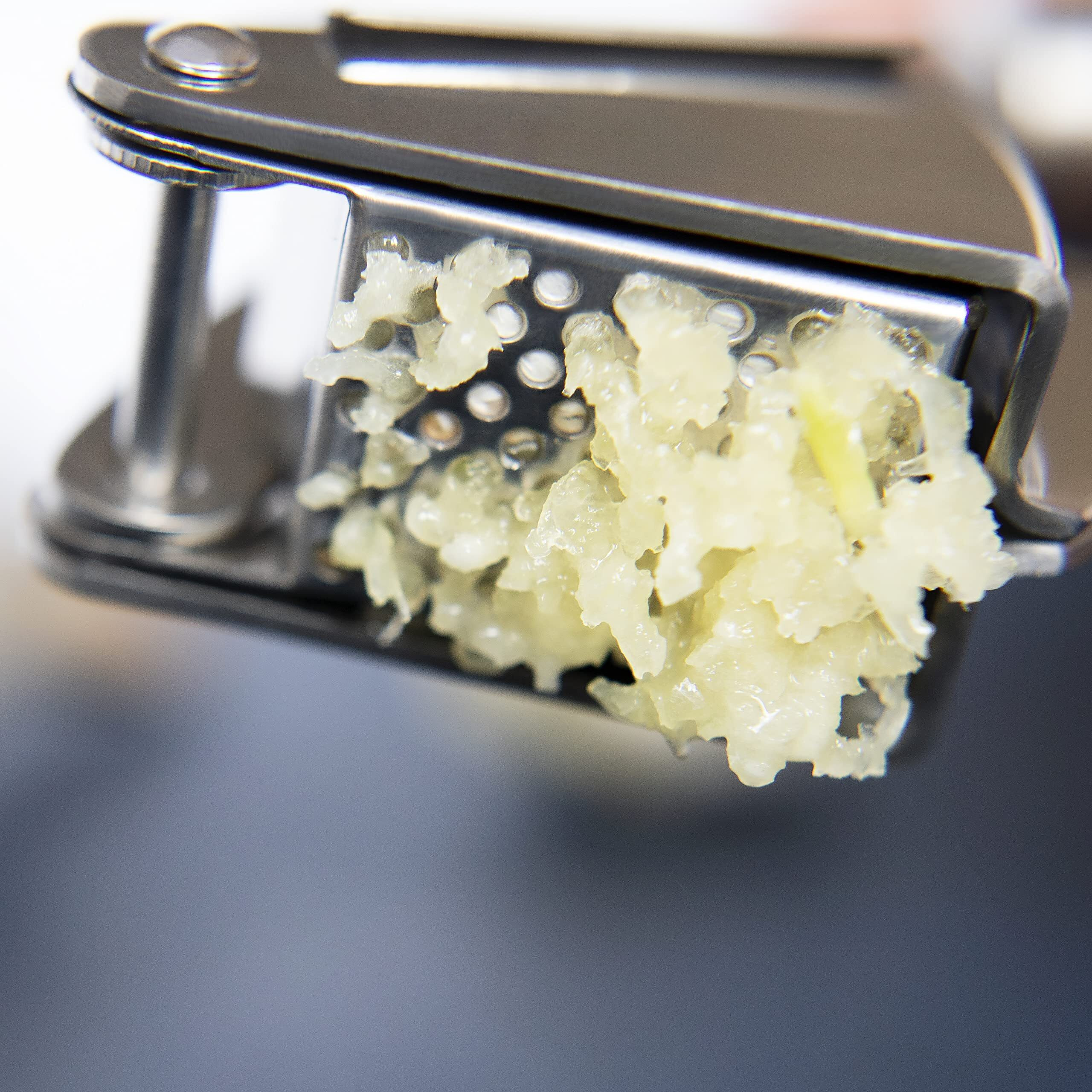 Deiss Pro Garlic Press And Silicone Garlic Peeler Set - Stainless Steel Rust Proof Garlic Mincer & Garlic Crusher For Ginger & Nuts, Garlic Roller Peeler - Easy To Squeeze And Clean, Dishwasher Safe