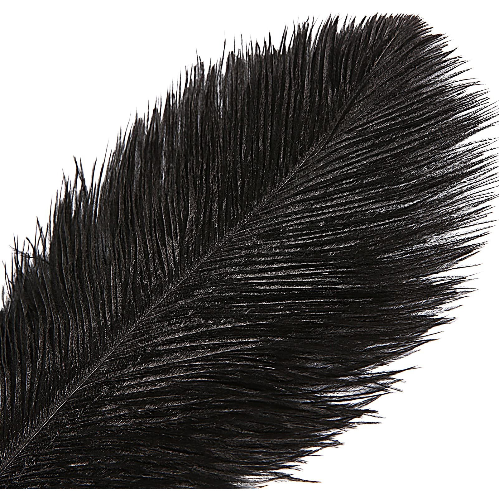Tharaht Black Ostrich Feathers 12Pcs Large Natural Bulk 16-18Inch 40Cm-45Cm For Wedding Party Centerpieces Halloween And Home Decoration Feathers