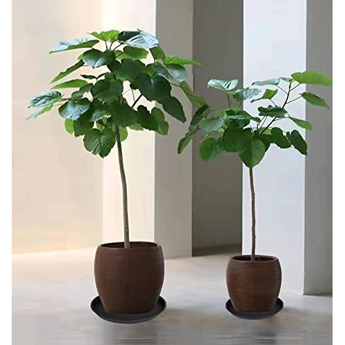 Bleuhome 6 Pack Of 12 Inch Plant Saucer, Heavy Duty Plastic Plant Saucer 12 Inch Round, Plant Tray For Pots, Flower Saucers For Indoors, Garden Plate Bowls, Trays For Planter 10""/11""/12"" (Black)