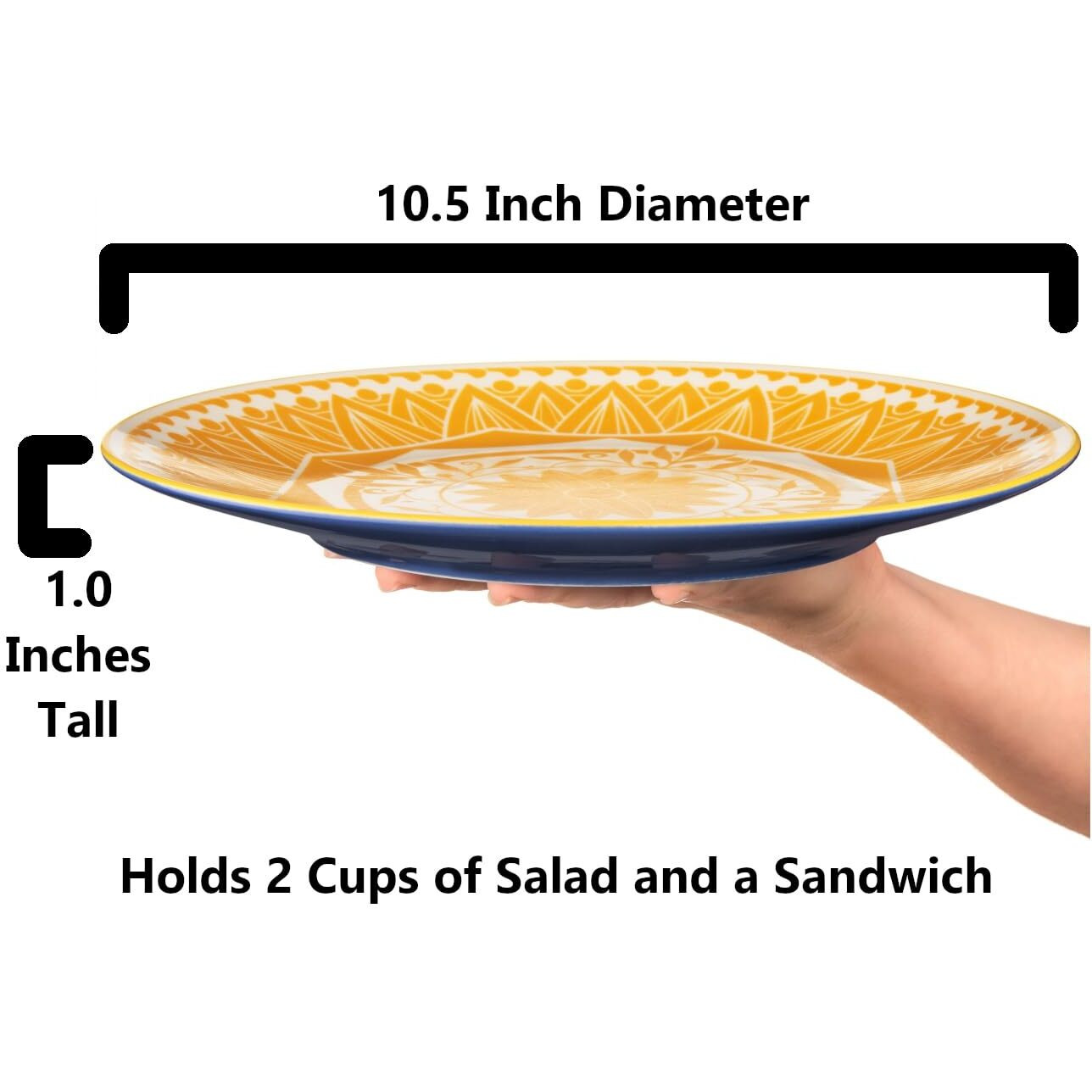 Annovero Dinner Plates, Large Colorful Cute Decorative Porcelain Dinnerware For Salad, Pasta, Serving Dishes For Entertaining, Microwavable, 10.5 Inch Diameter, Set Of 6