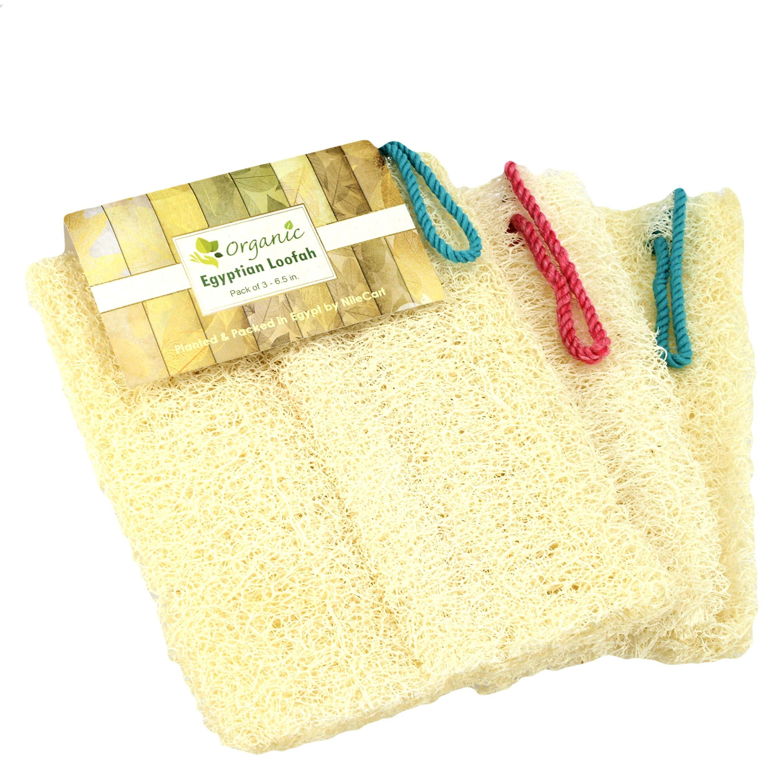 Nilecart Egyptian Loofah Sponges Natural Exfoliating Body Wash Gourd, Loofah Bath Sponges For Skincare, Exfoliating Back Scrubber (Pack Of 3-6.5 In.)