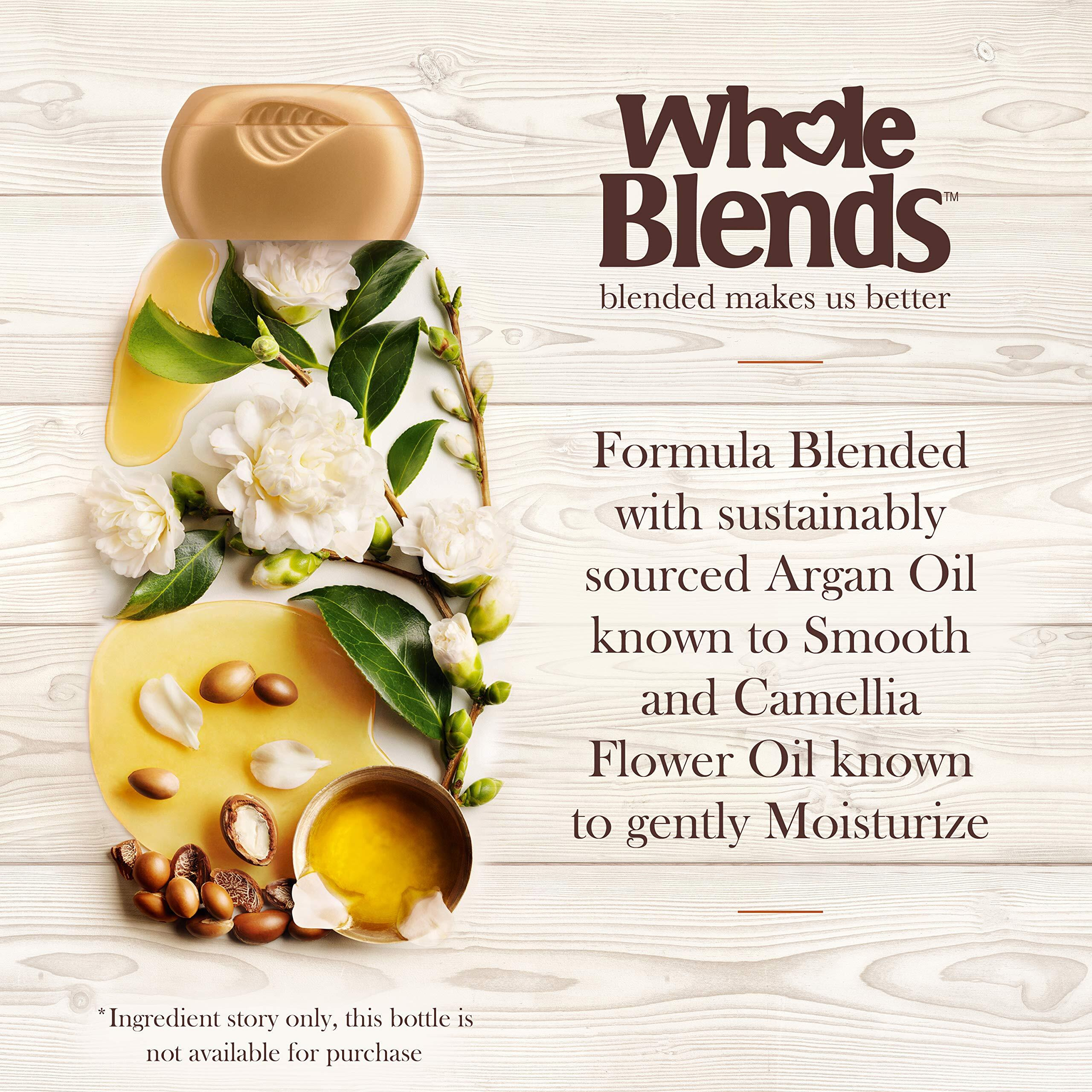 Garnier Whole Blends Shampoo And Conditioner