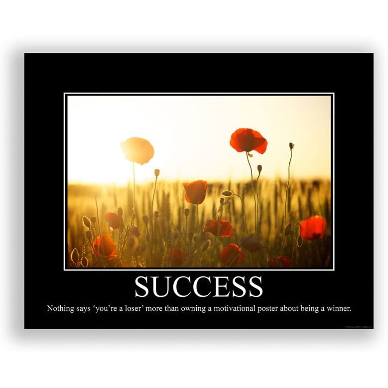 Success Demotivational Poster Ironic Snarky Funny Sarcastic Office Wall Decor Art Print 11X14 Inches Unframed