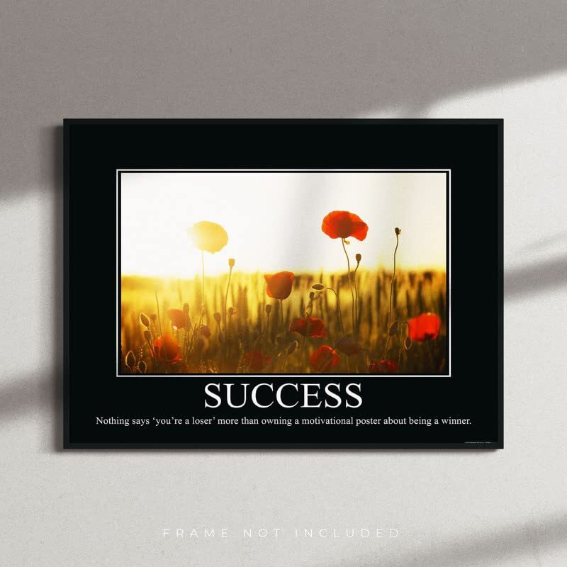 Success Demotivational Poster Ironic Snarky Funny Sarcastic Office Wall Decor Art Print 11X14 Inches Unframed