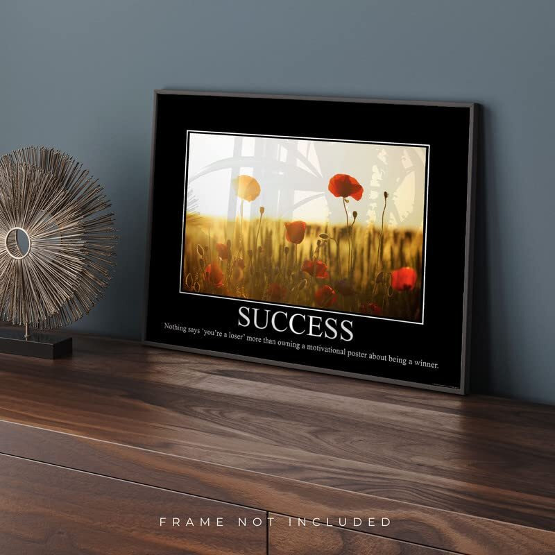Success Demotivational Poster Ironic Snarky Funny Sarcastic Office Wall Decor Art Print 11X14 Inches Unframed