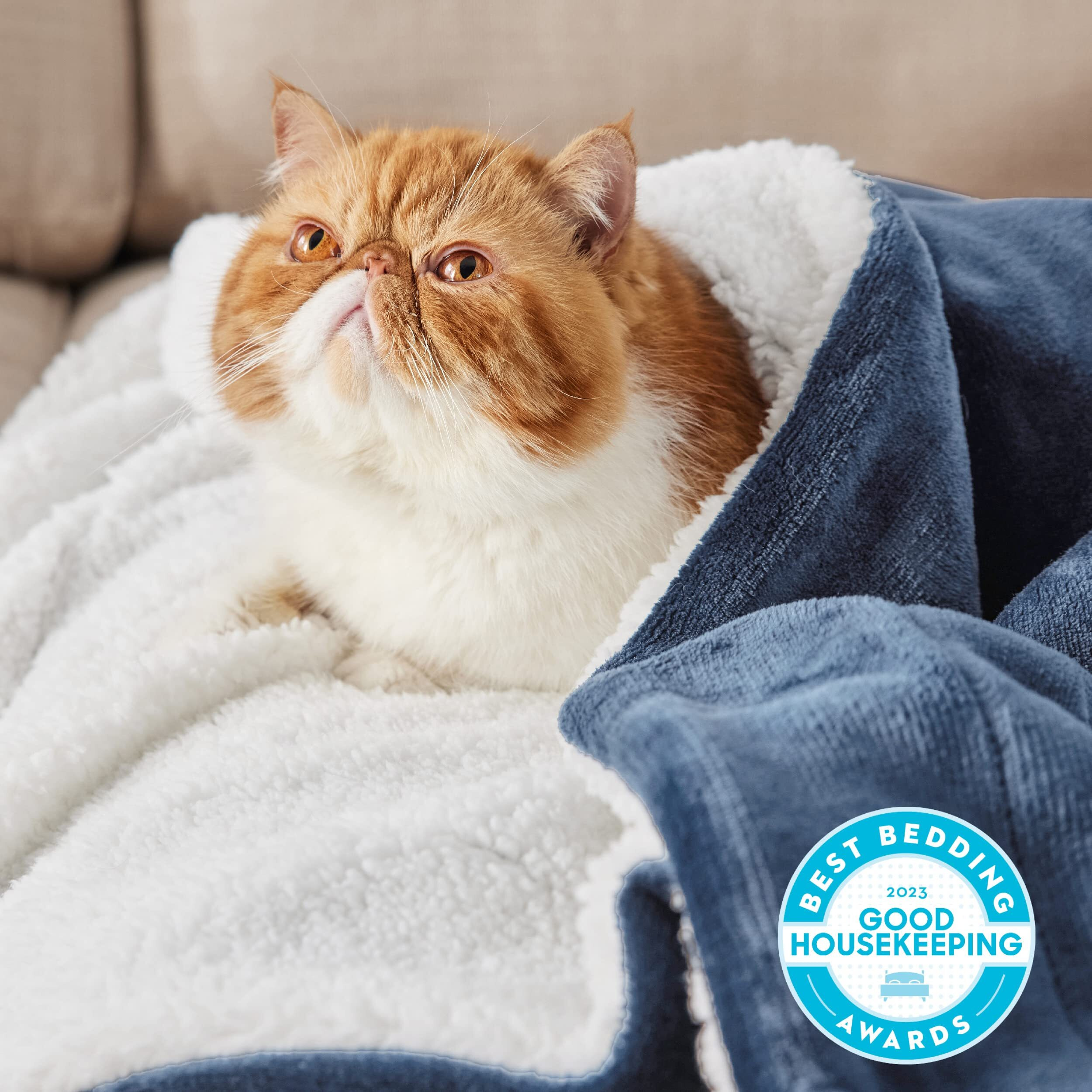 Bedsure Sherpa Fleece Throw Blanket For Couch - Thick And Warm Blanket For Winter, Soft Fuzzy Plush Throw Blanket For All Seasons, Slate Blue, 50X60 Inches