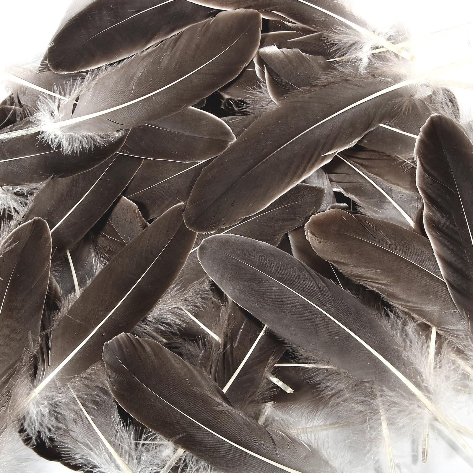 Tharaht 120Pcs Natrual Gray Natrual Goose Feathers Natural Bulk 6-8 Inch 15-20Cm For Crafts Diy Cosplay Wedding Party Halloween Decoration Goose Nagoire Feathers