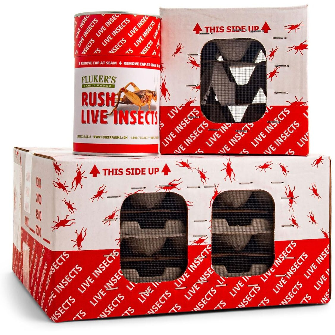 Fluker's Live Mealworms, 500 Count Insects For Reptiles, Chickens, And Birds, Medium Size, (Approx. 3/4"")