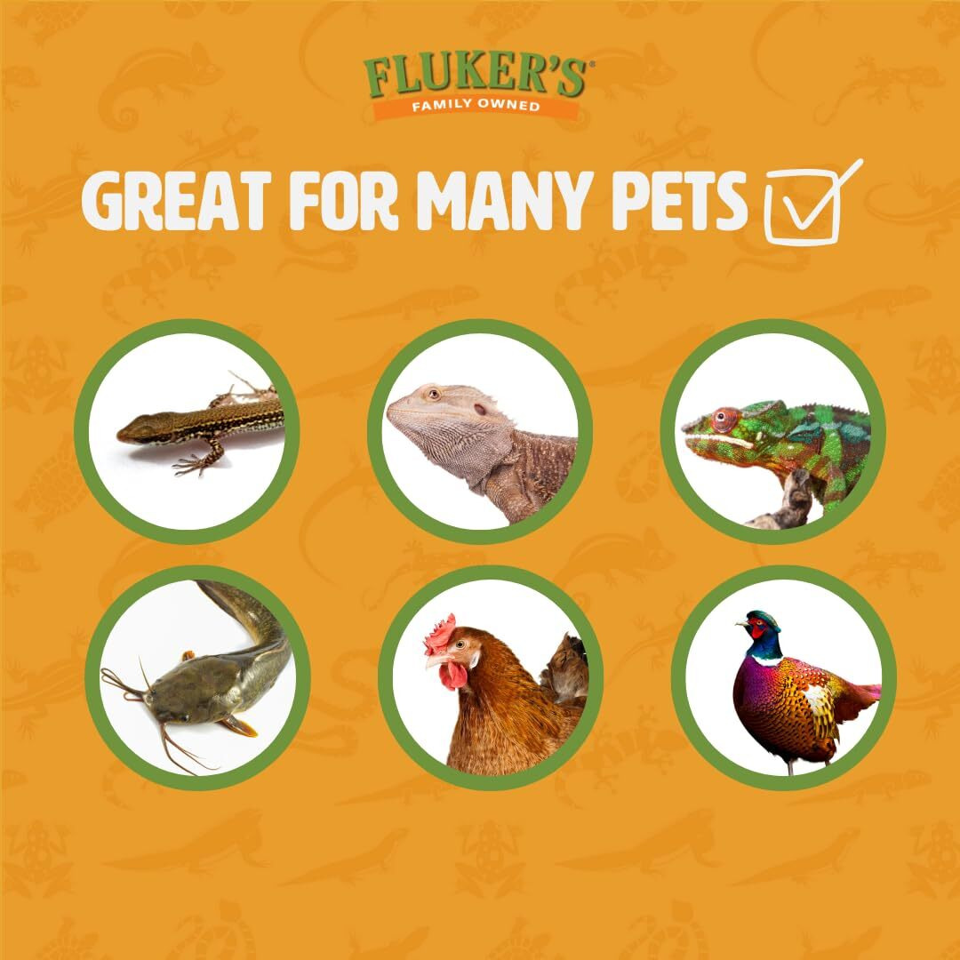 Fluker's Live Mealworms, 500 Count Insects For Reptiles, Chickens, And Birds, Medium Size, (Approx. 3/4"")