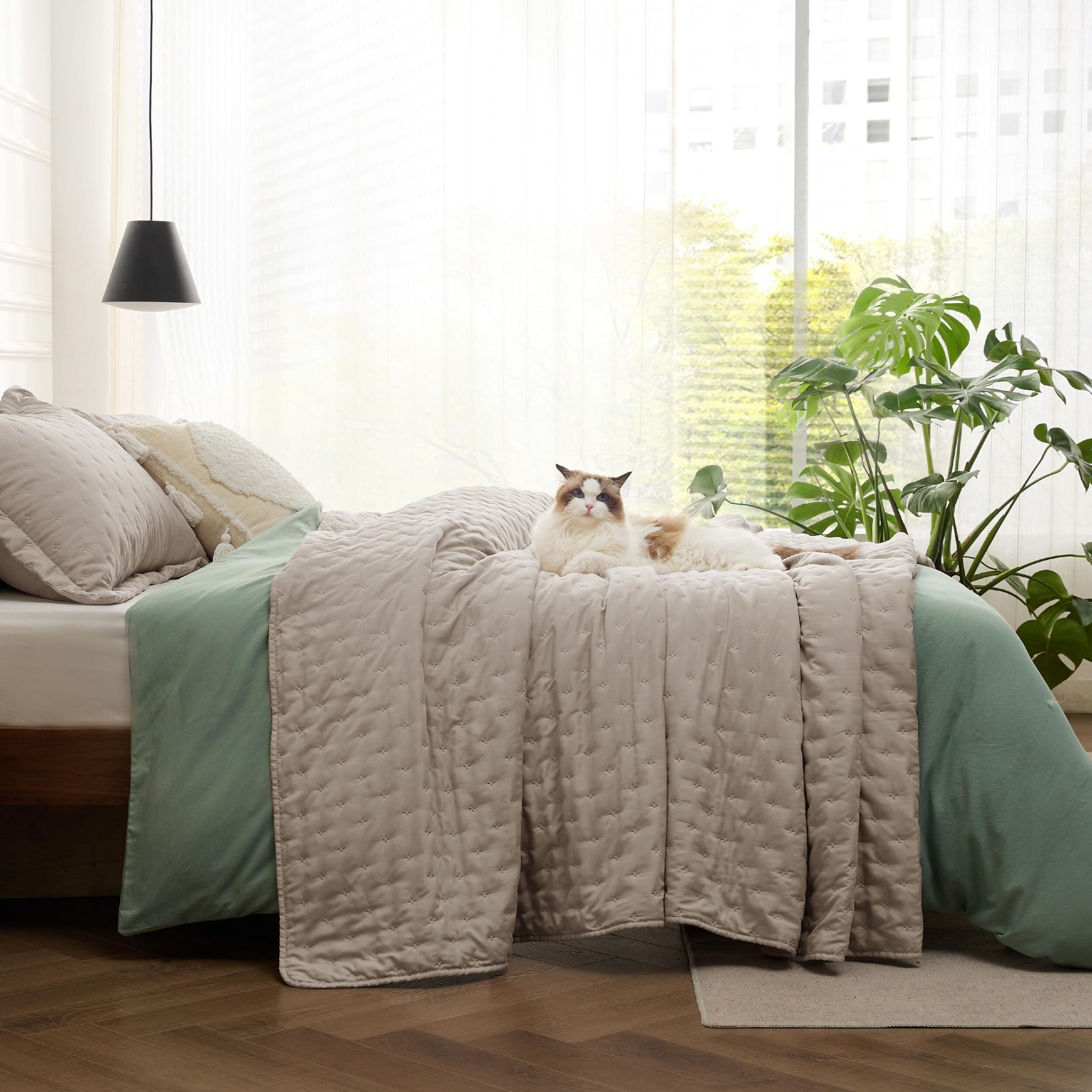 Bedsure Quilt Queen Size - Soft Ultrasonic Full/Queen Quilt Bedding Set - Clover Bedspread Queen Size - Lightweight Bedding Coverlet For All Seasons (Includes 1 Taupe Quilt, 2 Pillow Shams)