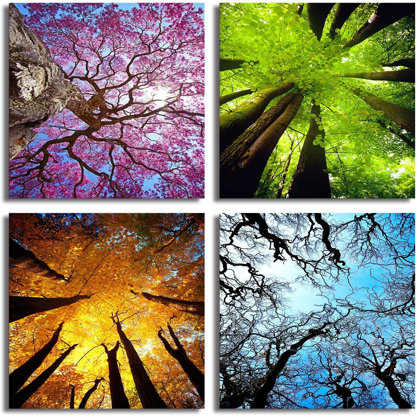 Mesese Art 4 Panels Canvas Wall Art Spring Summer Autumn Winter Four Seasons Landscape Color Tree Painting Picture Prints Modern Giclee Artwork Stretched And Framed For Living Room Home Decoration