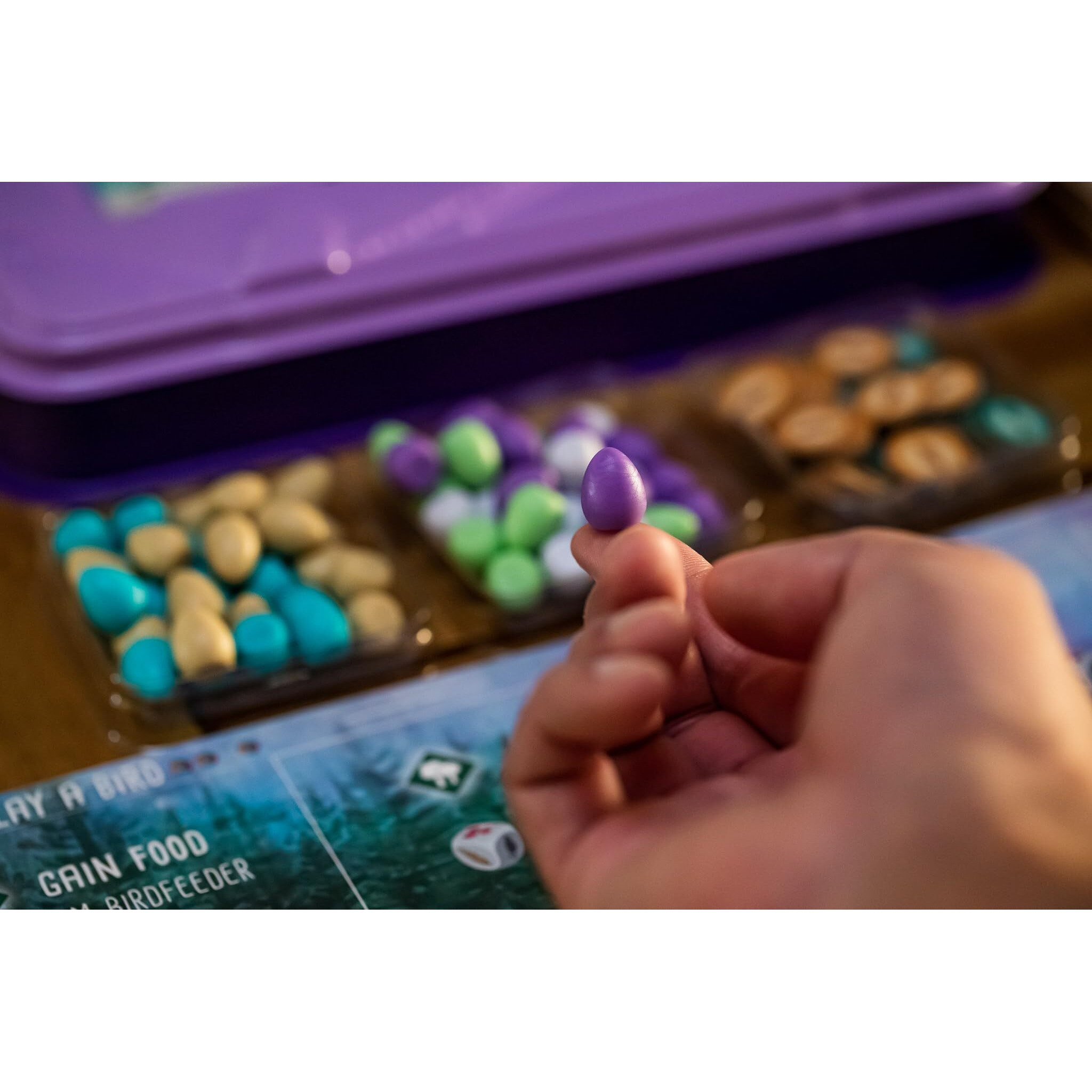 Stonemaier Games Wingspan European Expansion | Add To Wingspan (Base Game) | 81 Unique New Birds, New Egg Color | 1-5 Players, 70 Mins, Ages 14+