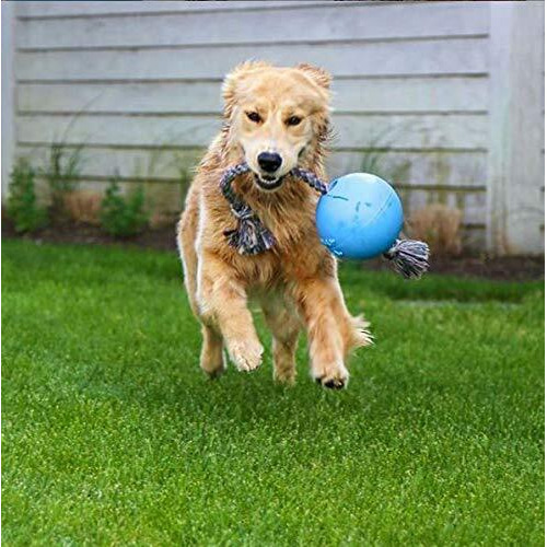 Jolly Pets Romp-N-Roll Rope And Ball Dog Toy, 6 Inches/Medium, Blueberry, Model Number 606 Bb, All Breed Sizes