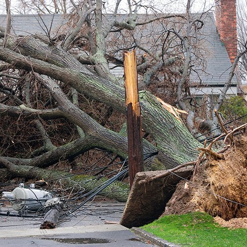 Mobile Scanner, Analog, 9000 Channels