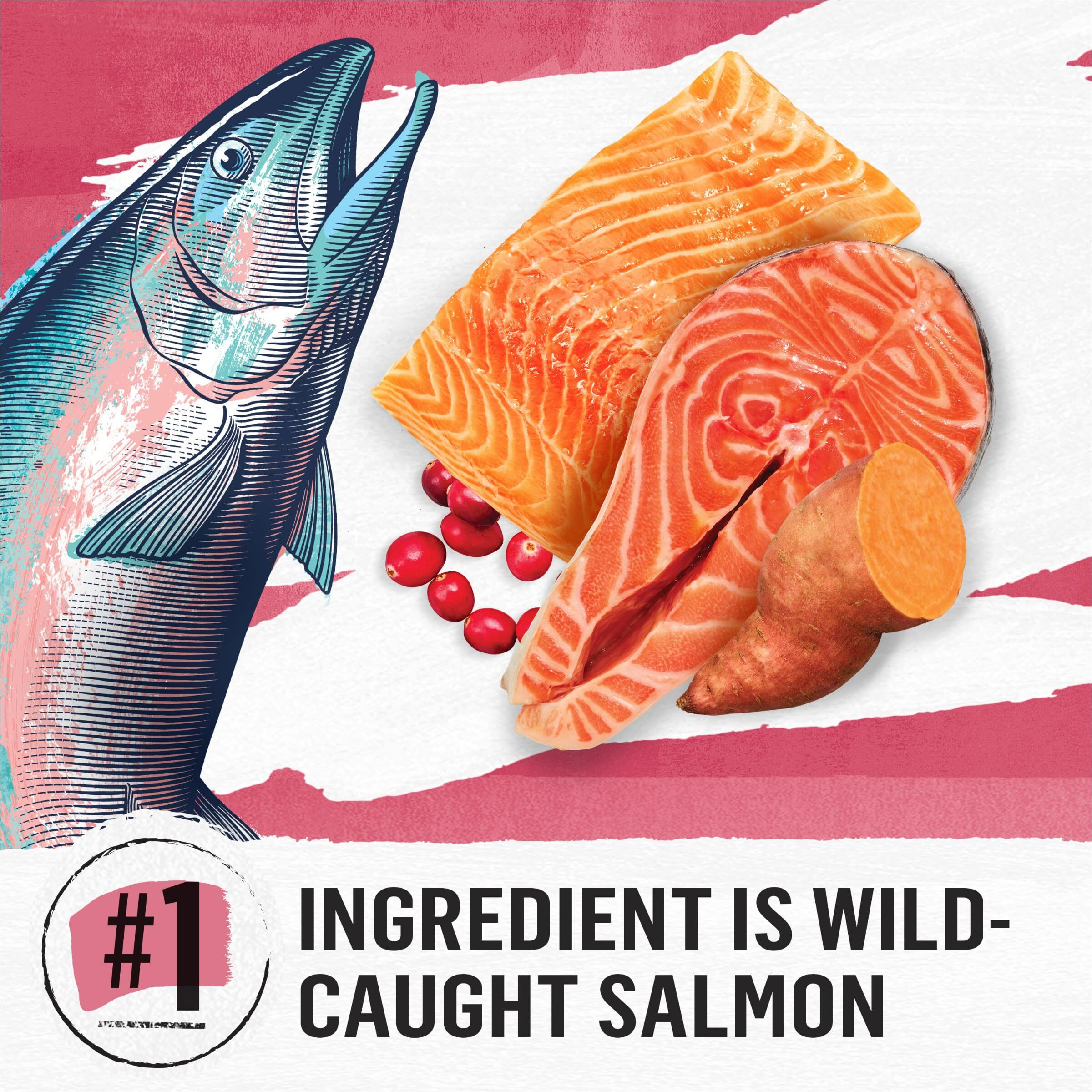 Purina Beyond Grain Free, Natural Dry Cat Food, Simply Indoor Salmon, Egg & Sweet Potato Recipe - 5 Lb. Bag