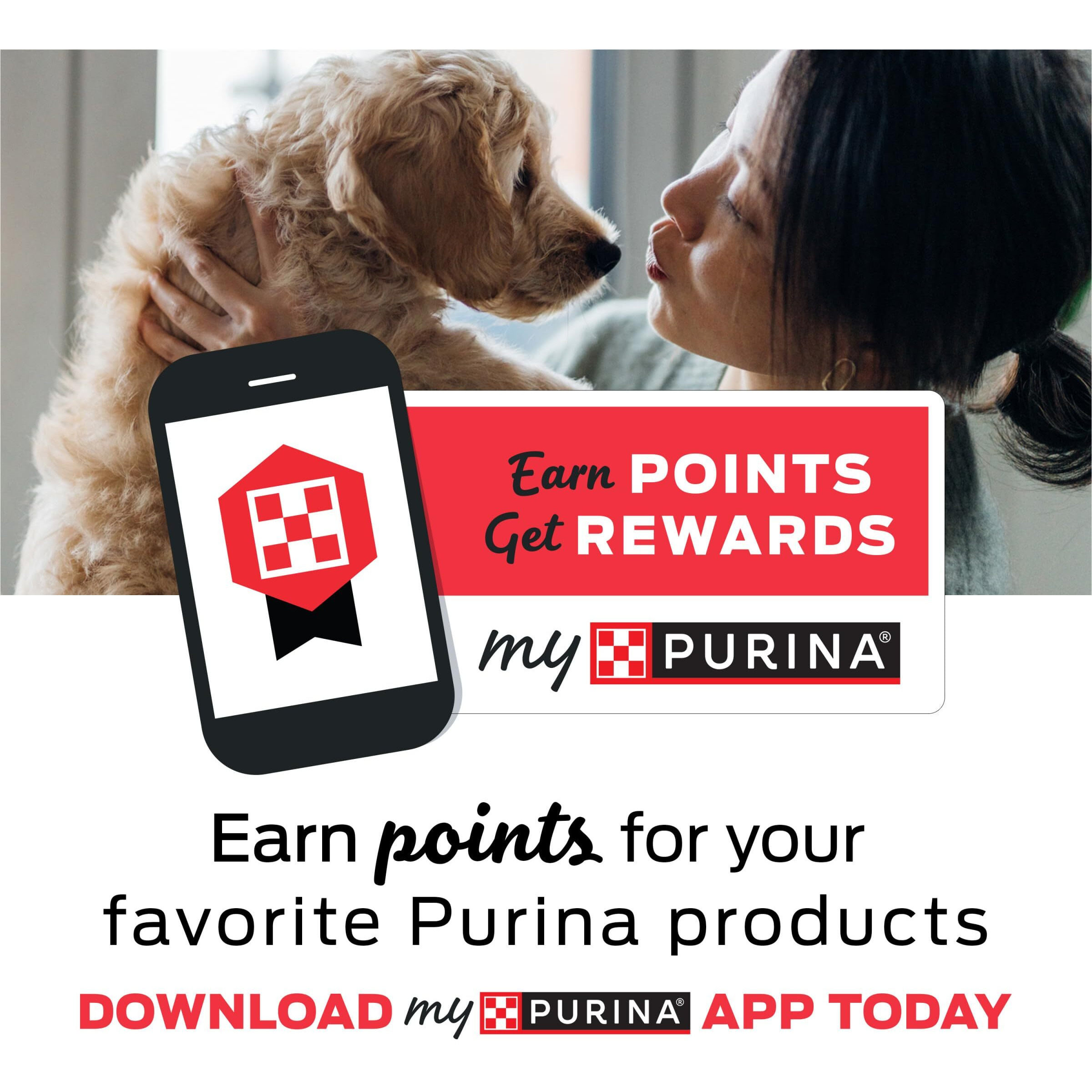 Purina Beyond Grain Free, Natural Dry Cat Food, Simply Indoor Salmon, Egg & Sweet Potato Recipe - 5 Lb. Bag