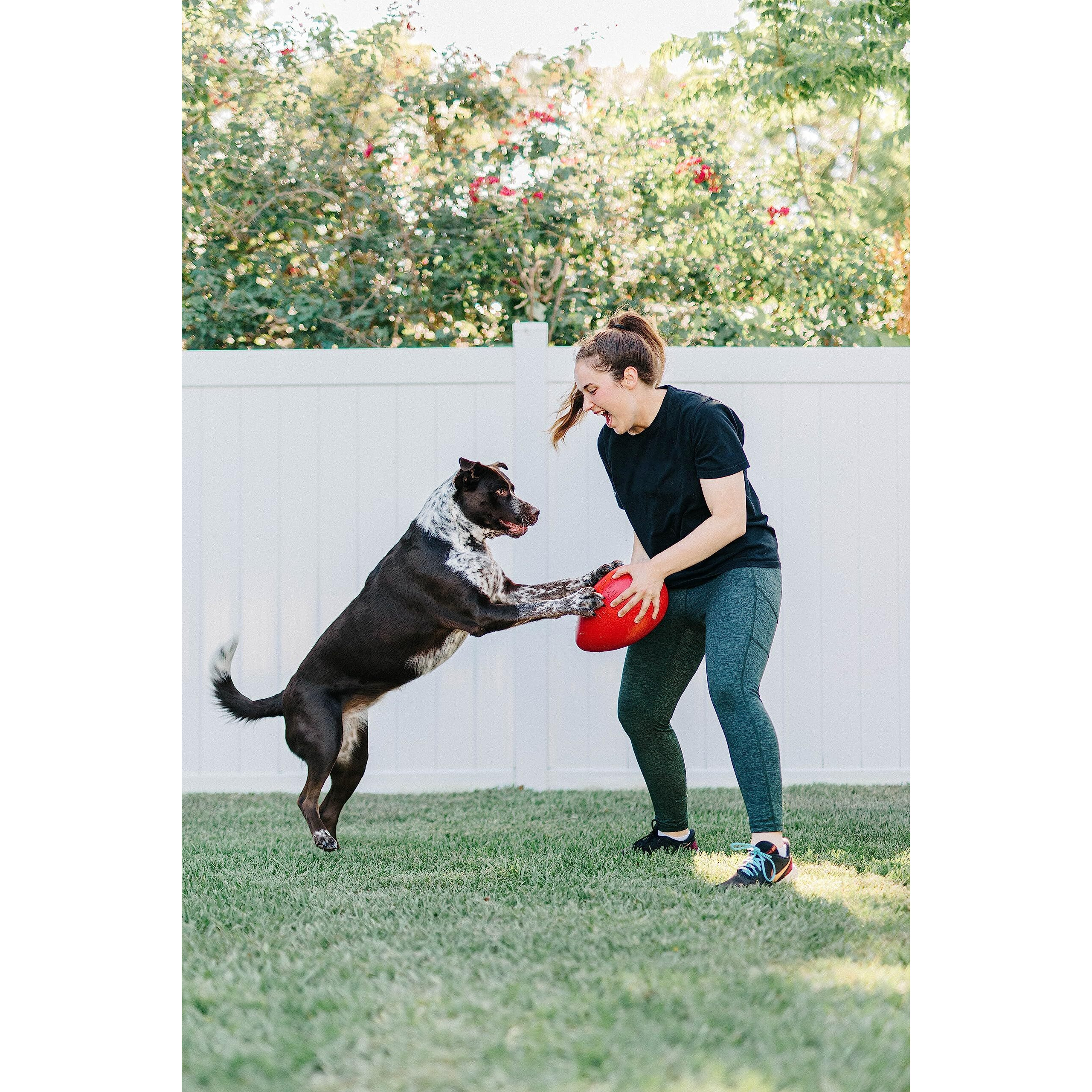 Jolly Pets Jolly Egg Dog Toy, 8 Inches/Medium, Red (Je08 Rd)