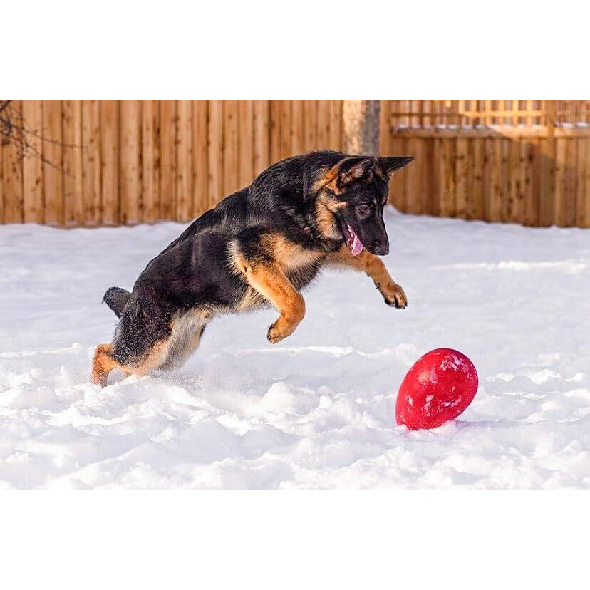 Jolly Pets Jolly Egg Dog Toy, 8 Inches/Medium, Red (Je08 Rd)