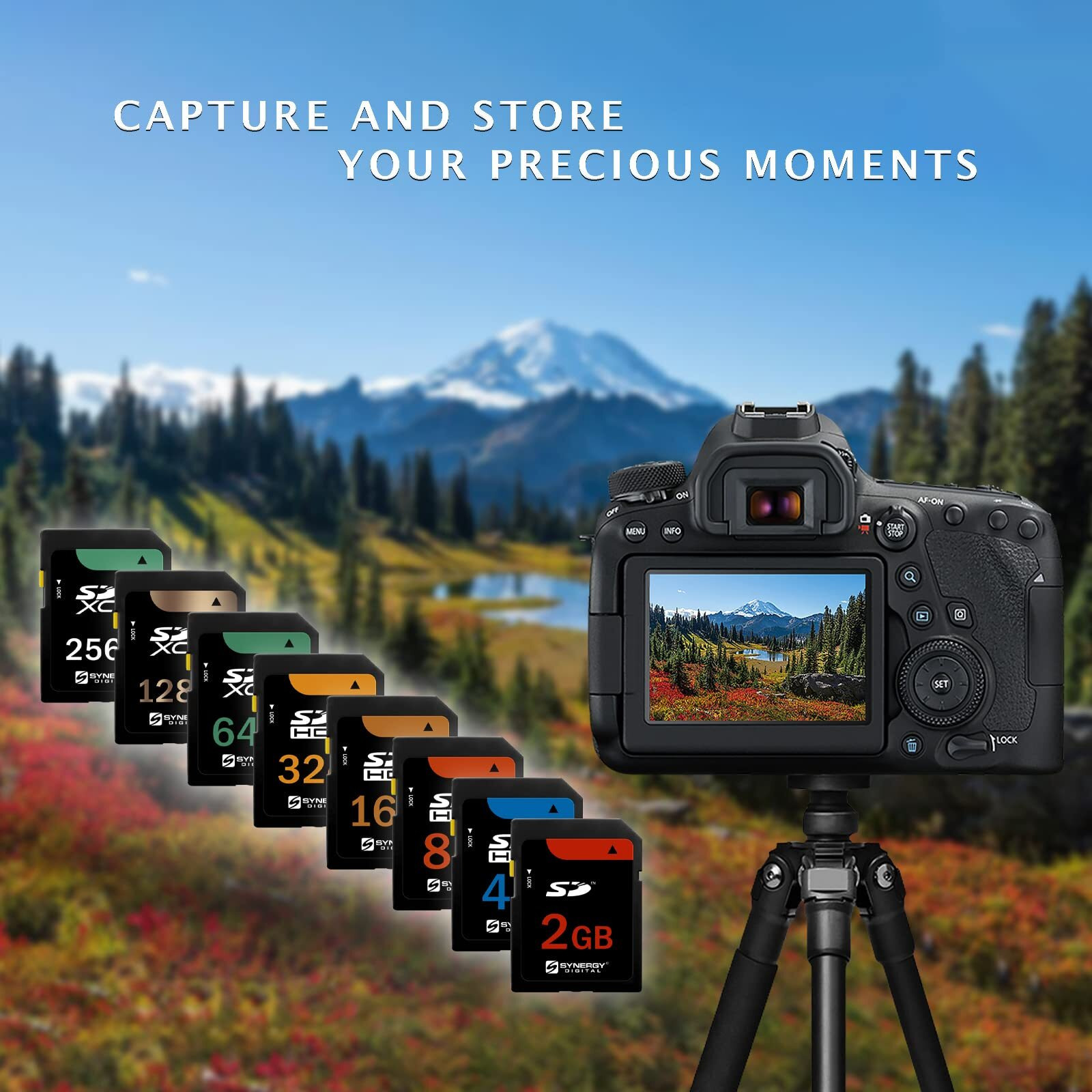 Canon Powershot Sd630 Digital Camera Memory Card 2Gb Standard Secure Digital (Sd) Memory Card