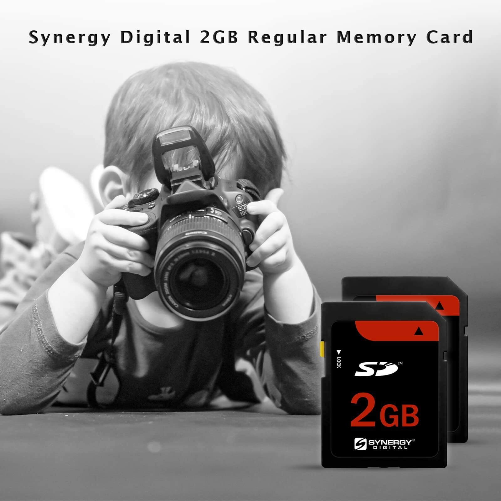 Canon Powershot Sd630 Digital Camera Memory Card 2Gb Standard Secure Digital (Sd) Memory Card