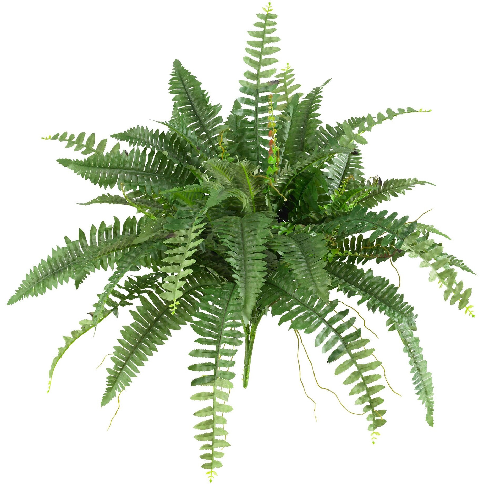 Nearly Natural 40In Artificial Boston Fern Large Hanging Plant, Set Of 2 Artificial Ferns That Look Real For Home D  Cor