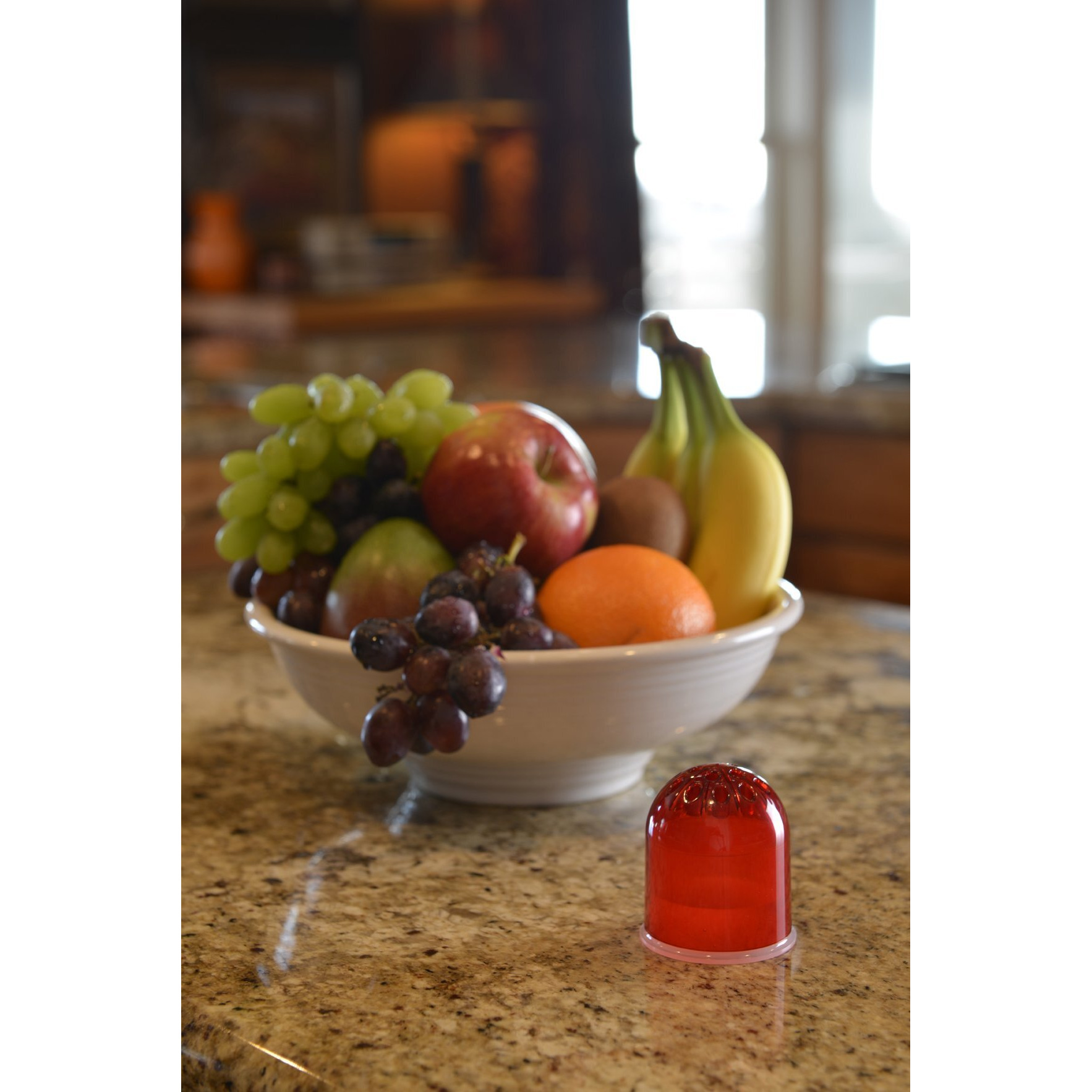 Rescue Fruit Fly Trap - Reusable, Includes Liquid Bait Attractant