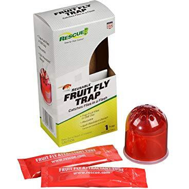 Rescue Fruit Fly Trap - Reusable, Includes Liquid Bait Attractant