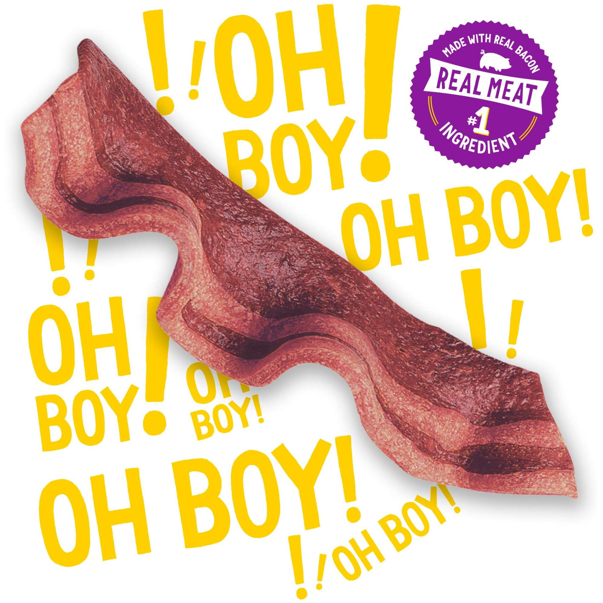 Purina Beggin' Strips With Real Meat Dog Treats With Bacon And Beef Flavors - (Pack Of 2) 26 Oz. Pouches