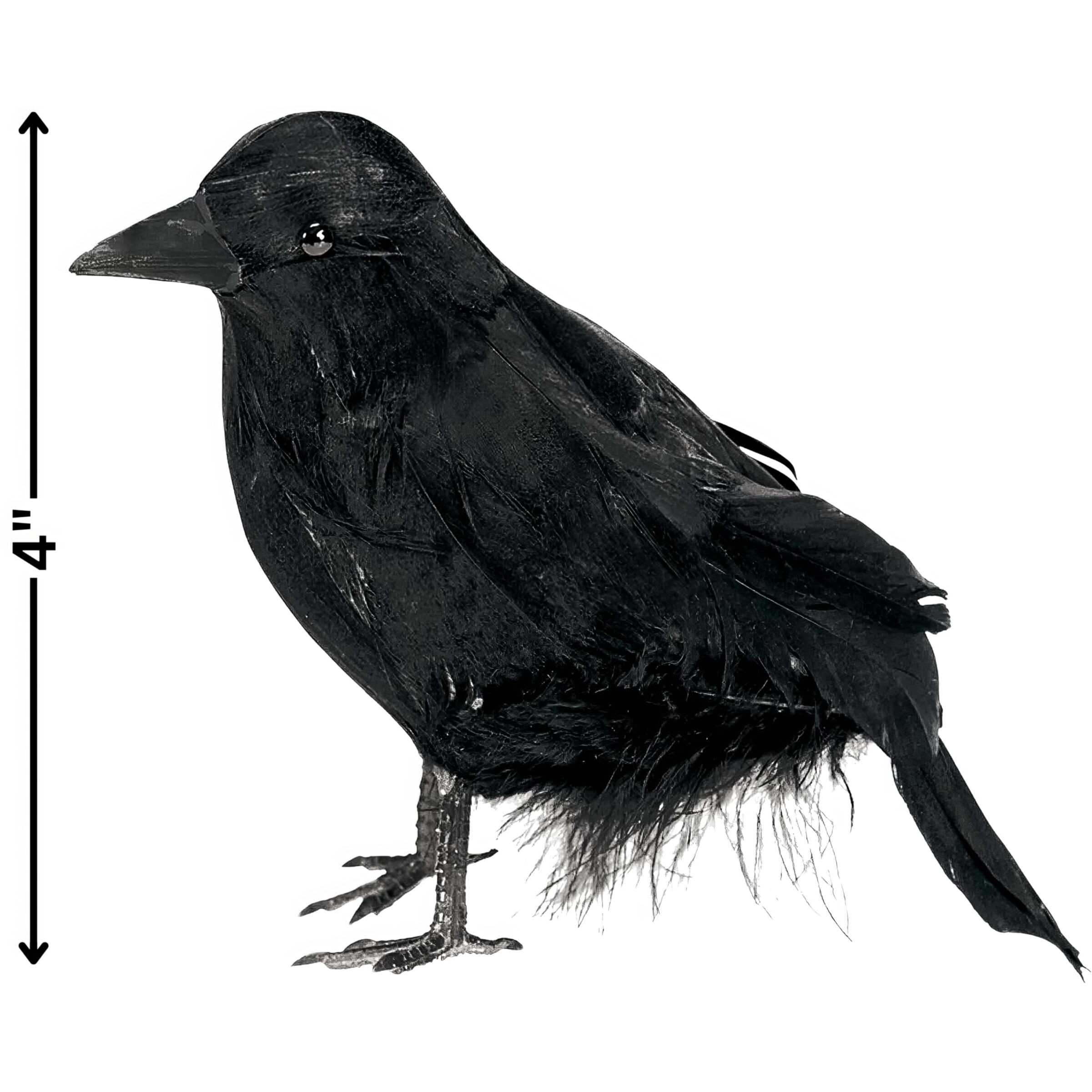 Halloween Haunted Feathered Raven