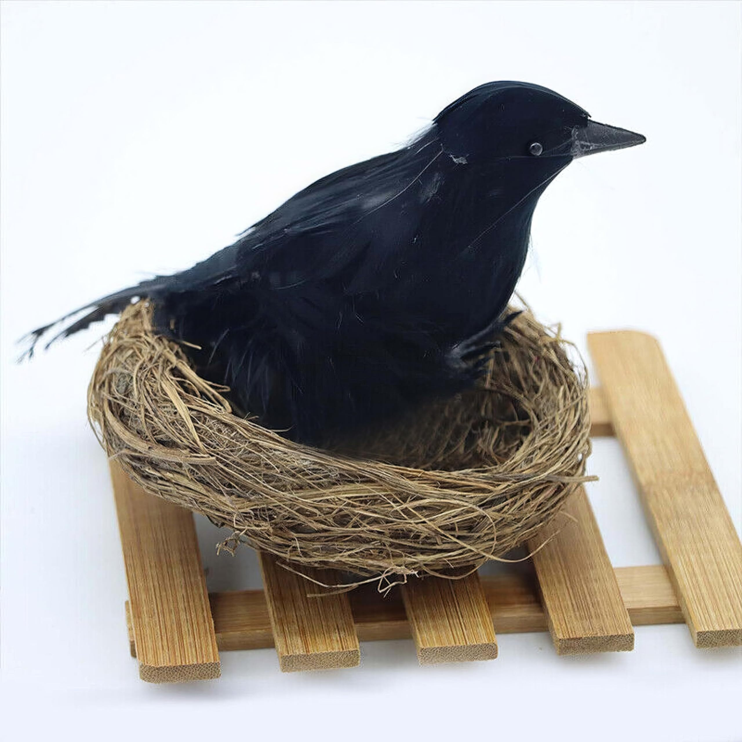 Halloween Haunted Feathered Raven