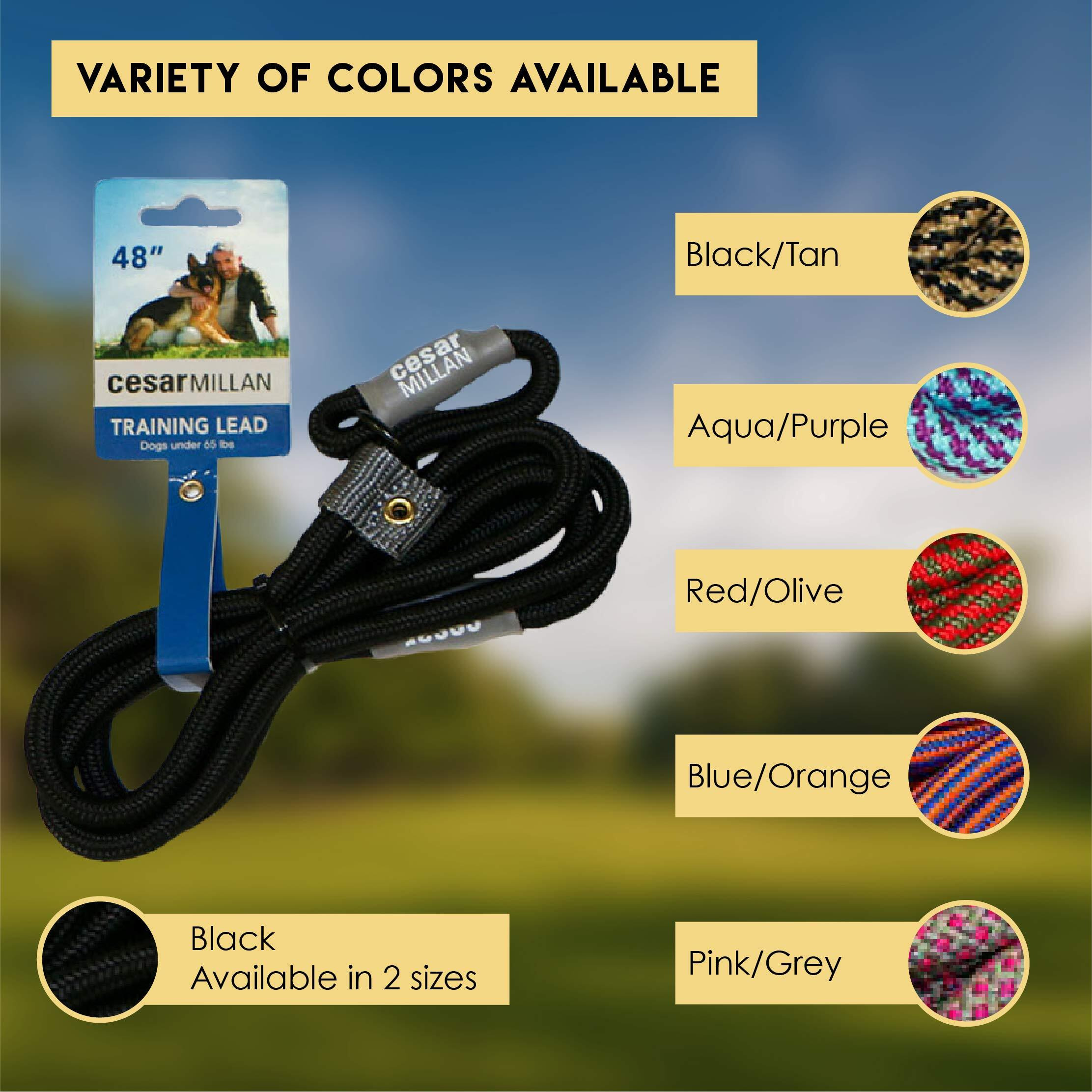 Cesar Millan Slip Lead Leash - 2-In-1 Slip Collar Dog Training Lead & Collar | Heavy Duty Durable Weatherproof Rope Leash, No Pull Training | Length 4Ft Diameter 4/10   (Regular, Black)