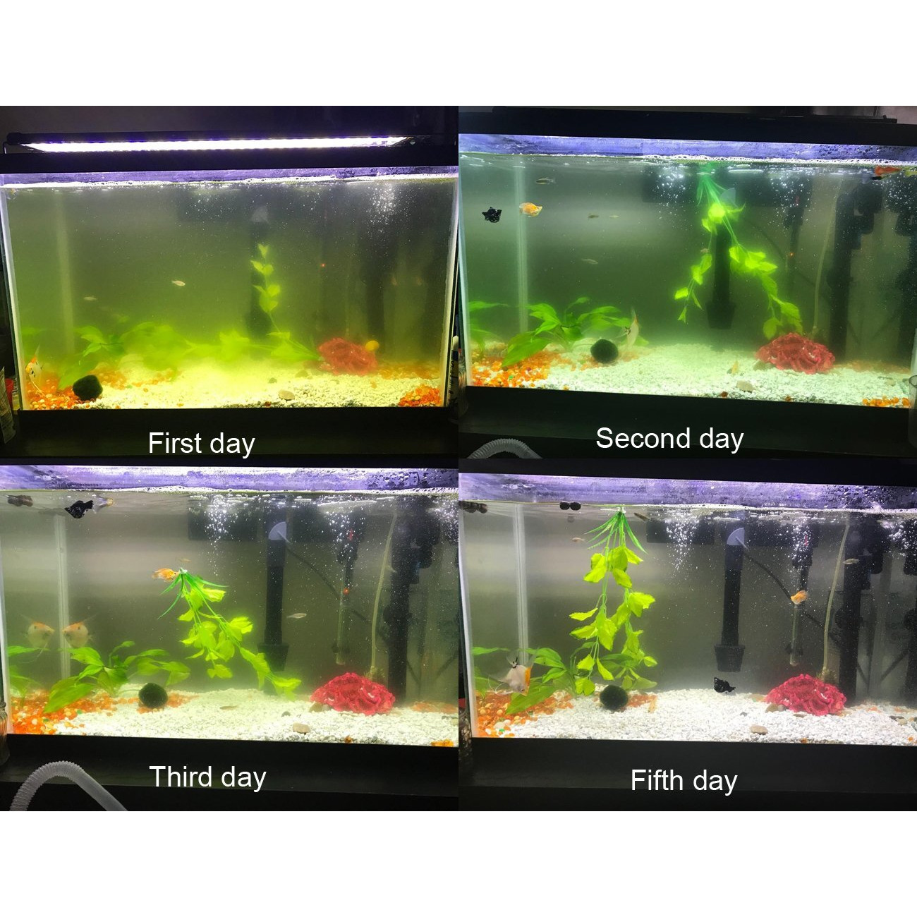 Coodia Internal Green Water Killer Aquarium Filter Tank U-V Pump