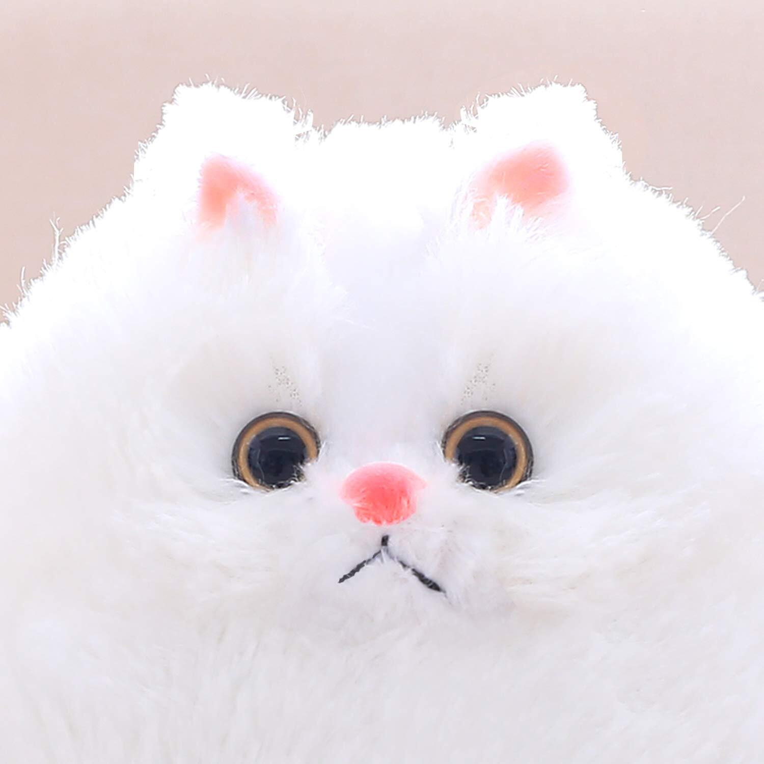 Winsterch Stuffed Animal Plushie Cat Stuffed Animal,Cute Soft Plush Cat Animals,White Stuffed Cat, Birthday Christmas For Kids,Boys,Girls,Fat Cat Stuffed Toy (White, 10 Inches)