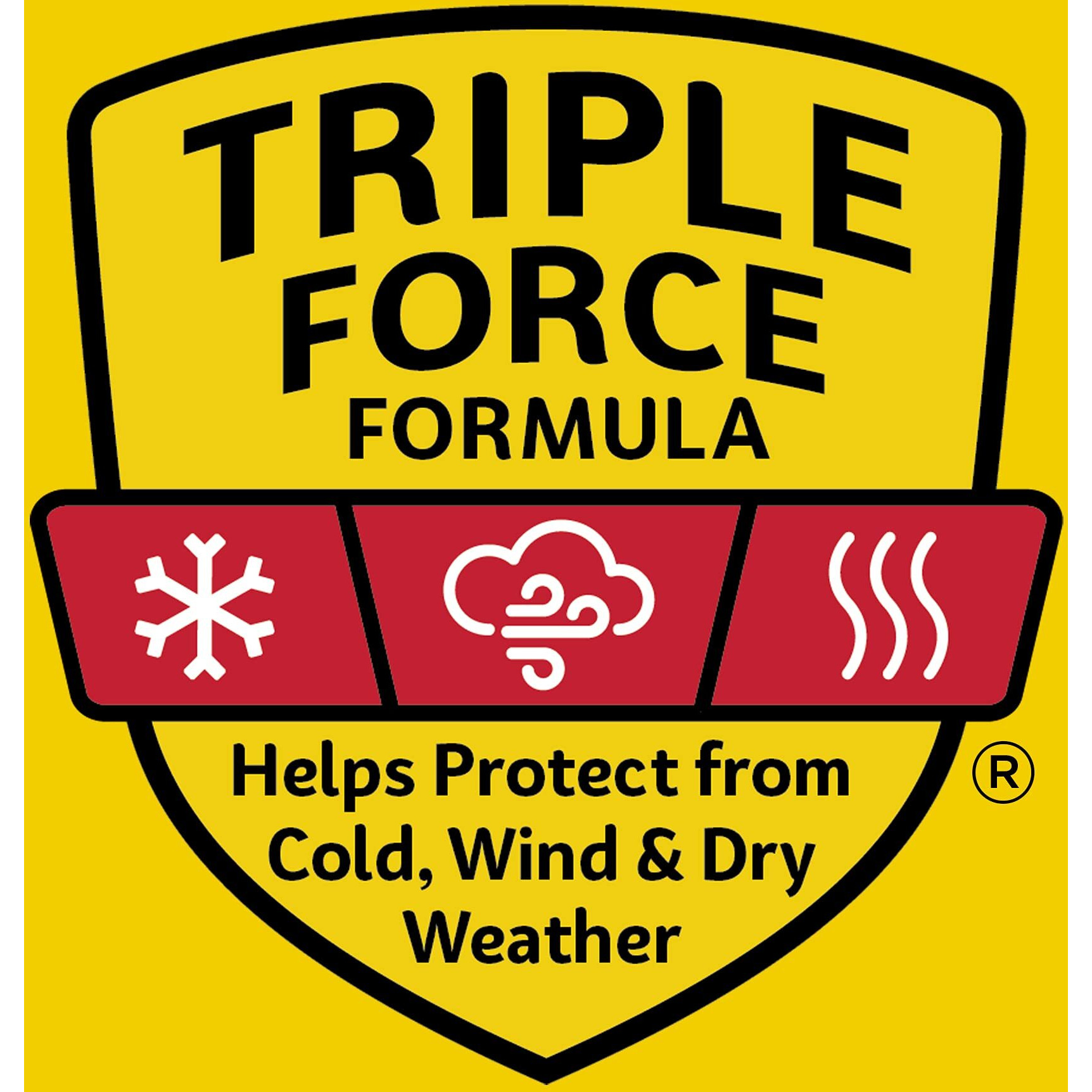 Carmex Medicated Lip Balm Tubes, Lip Moisturizer For Dry, Chapped Lips, 0.35 Oz - (2 Packs Of 3)